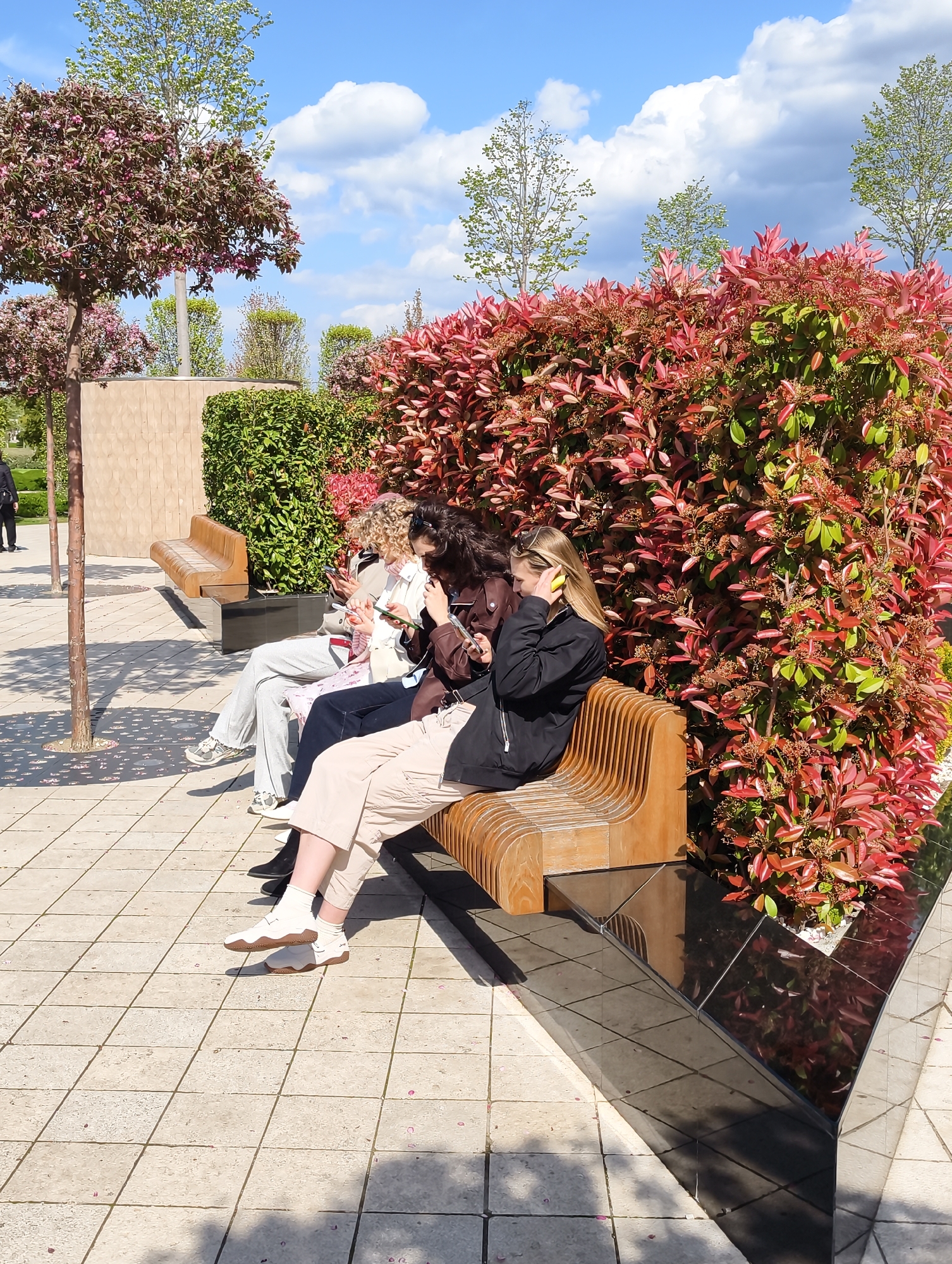 Three young women are sitting on a park bench on a sunny day, each focused on her mobile phone. The bench is light brown wood with a curved design and a black, reflective base that also functions as a planter for reddish-green bushes. The women are all casually dressed. From left to right, the first woman has curly blonde hair, is wearing grey sweatpants, and light-colored sneakers. The second woman has dark curly hair, a brown jacket, and black footwear. The third woman has blonde hair pulled back, a black jacket, and light-colored pants and footwear. The benches are situated on a tiled walkway with small pink petals scattered on the tiles. A row of trees is visible in the background, along with a blue sky with white clouds. The scene appears to be in a park in Krasnodar, Russia, as determined from reverse image searches.