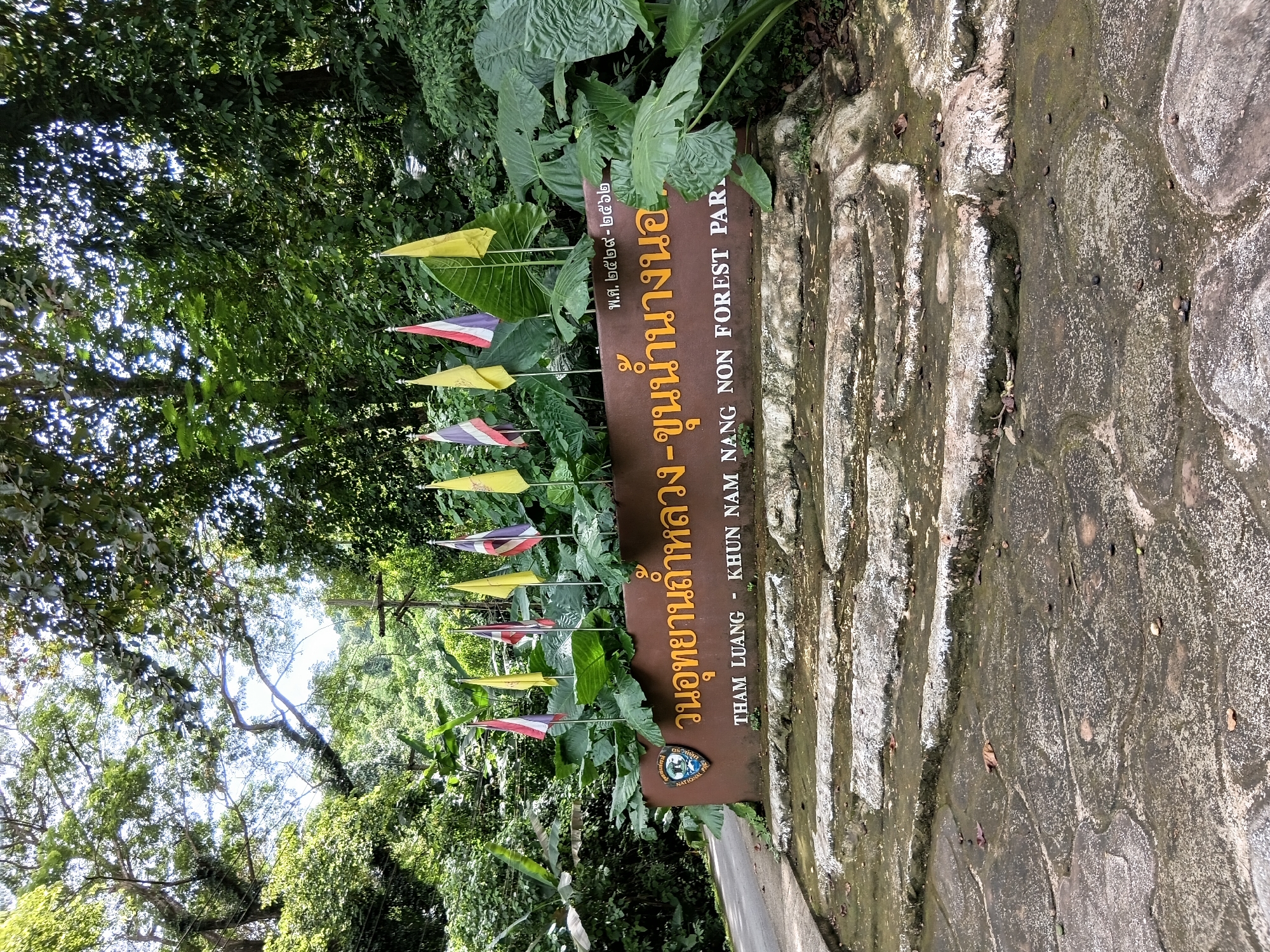 The image shows the entrance to Tham Luang - Khun Nam Nang Non Forest Park, located in the Mae Sai District of Thailand. A brown sign with yellow text, featuring Thai script and English text, stands prominently. The Thai text reads "วนอุทยานถ้ำหลวง-ขุนน้ำนางนอน" and includes some Buddhist Era dating, while the English text reads "THAM LUANG - KHUN NAM NANG NON FOREST PARK". Several flags, including the Thai flag and yellow flags, are displayed behind the sign. The entrance is marked by a stone pathway and steps leading up to the sign. Lush green foliage, including large-leafed plants and trees, surrounds the entrance, indicating a natural, forested environment. The overall scene depicts the entryway to a protected natural area.