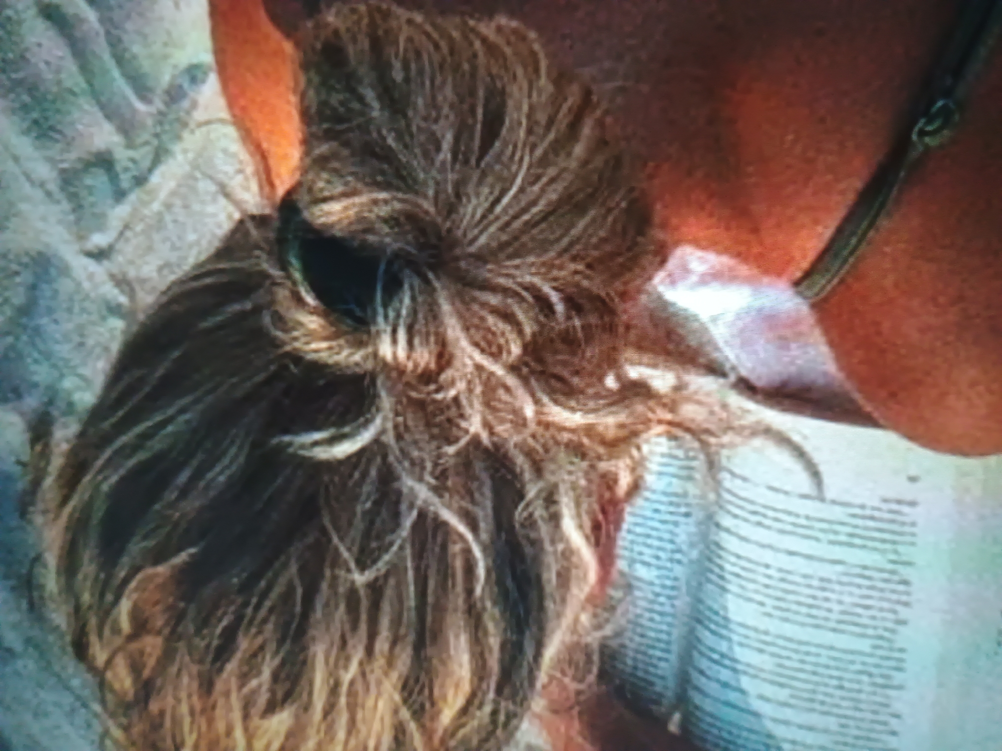 The image displays a close-up, overhead perspective of the upper back and head of an unidentified individual, set in Kroměříž, Czechia. The subject's light brown or blonde hair is gathered into a loosely formed bun or ponytail, secured by a dark hair tie, with numerous individual strands and frizz visible. The skin on the visible upper back and shoulder appears tanned, exhibiting minor texture variations. A dark strap, possibly from swimwear or a garment, crosses the lower right portion of the frame, featuring a small metallic ring or clasp. To the left, a light-colored object resembling an open book or document is present, showing numerous vertical lines indicative of printed text. The background beyond the subject's head is textured, with shades of light gray, blue, and green, suggesting an outdoor setting with possibly uneven ground or a distant landscape. No explicit facial features or direct interactions are discernible.