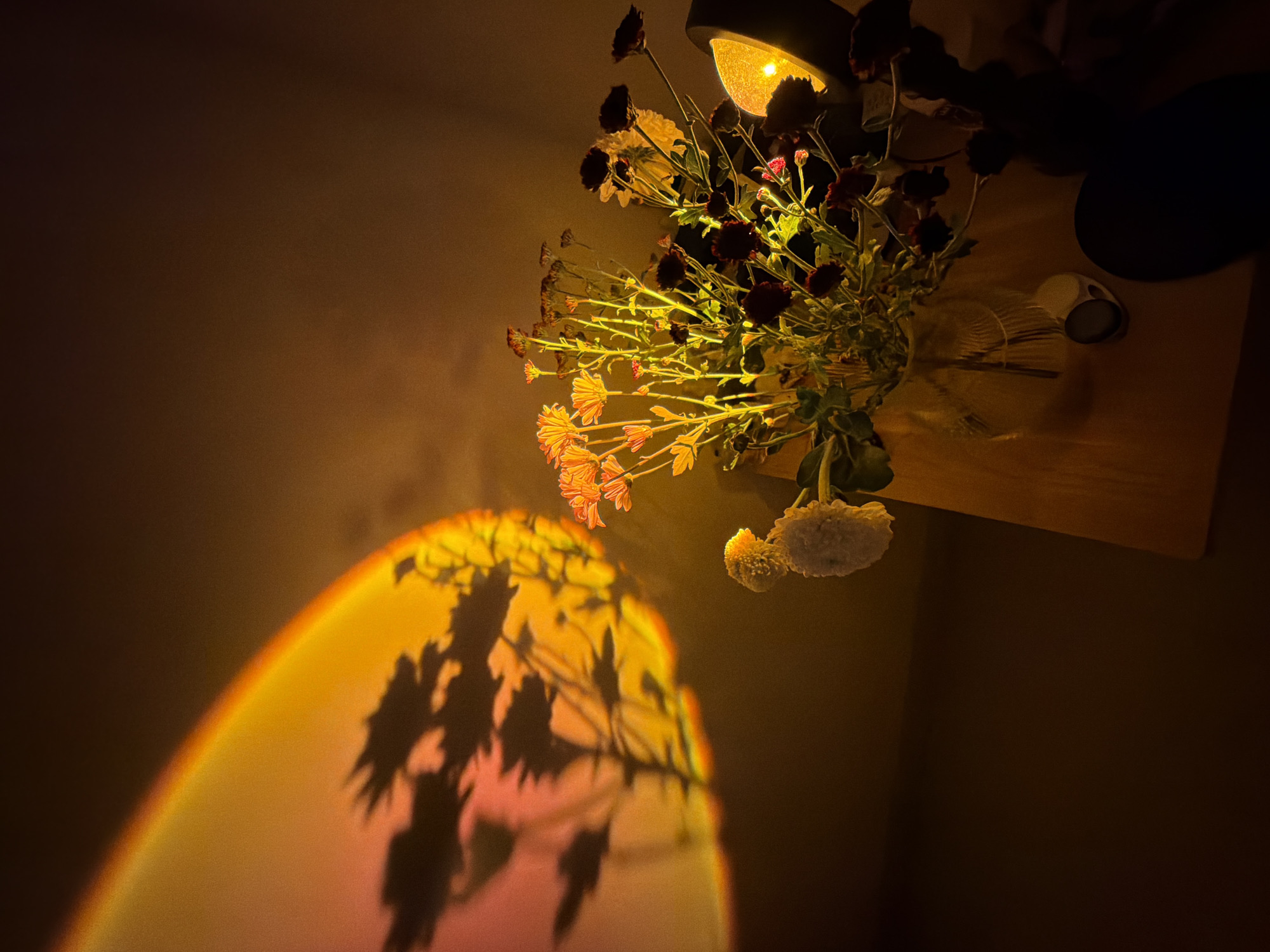 A vase of flowers sits on a wooden surface, illuminated by a light source above, casting shadows onto a wall. The light source appears to be a spotlight or a lamp, casting a warm, golden hue. The flowers are a mix of colors, including yellow, orange, and dark red. The shadows cast by the flowers create an abstract pattern on the wall. Based on the warm lighting and the presence of tropical flowers, this image could potentially be taken in Kuta Selatan, Indonesia, although without further context, it is impossible to confirm this definitively.