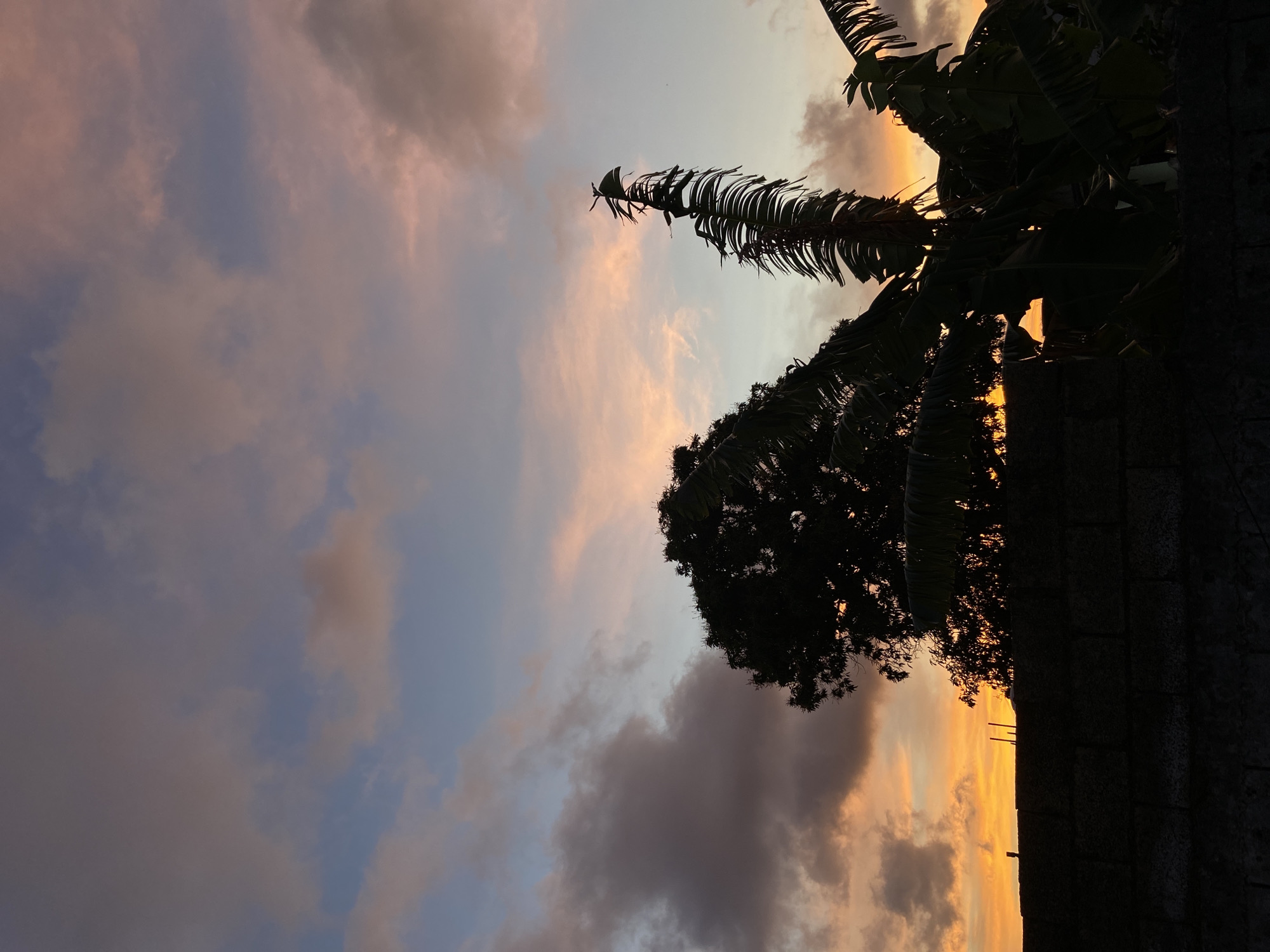 The image captures a sunset sky over Juan Griego, Venezuela. Silhouetted against the multicolored sky are two trees. The sky displays a gradient of color, including blue, pink, orange, and gray clouds. A structure is visible on the right.