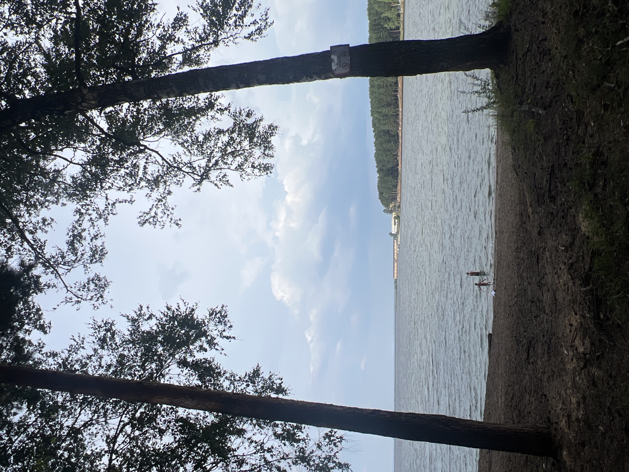 The image captures a serene lakeside scene, likely within the city of Chaikovsky, Russia, given the context. Two mature trees with dark bark and leafy branches frame the view, their trunks positioned on either side of the foreground, casting shadows on the sandy shore. The water of the lake is calm, with gentle ripples reflecting the overcast sky, which is filled with soft, diffused clouds.
In the middle ground, the lake stretches out towards a distant tree-lined shore. Along this far bank, a row of buildings, possibly a resort or sanatorium, with light-colored facades is visible. A dense line of green coniferous trees forms a natural backdrop to these structures. The lake's surface is dotted with a few distant boats or rafts, and there appears to be a line of small structures or docks extending from the shore.
Closer to the viewer, on the sandy beach at the water's edge, two small figures, presumably children, are wading in the shallows. One figure, wearing red, appears to be a child, and the other, slightly taller, may be an older child or a small adult. A white piece of fabric lies on the sand near them. The beach itself is composed of dark sand mixed with pine needles and fallen leaves, suggesting a natural, unmanicured environment. The overall atmosphere is tranquil and suggests a peaceful day by the water.