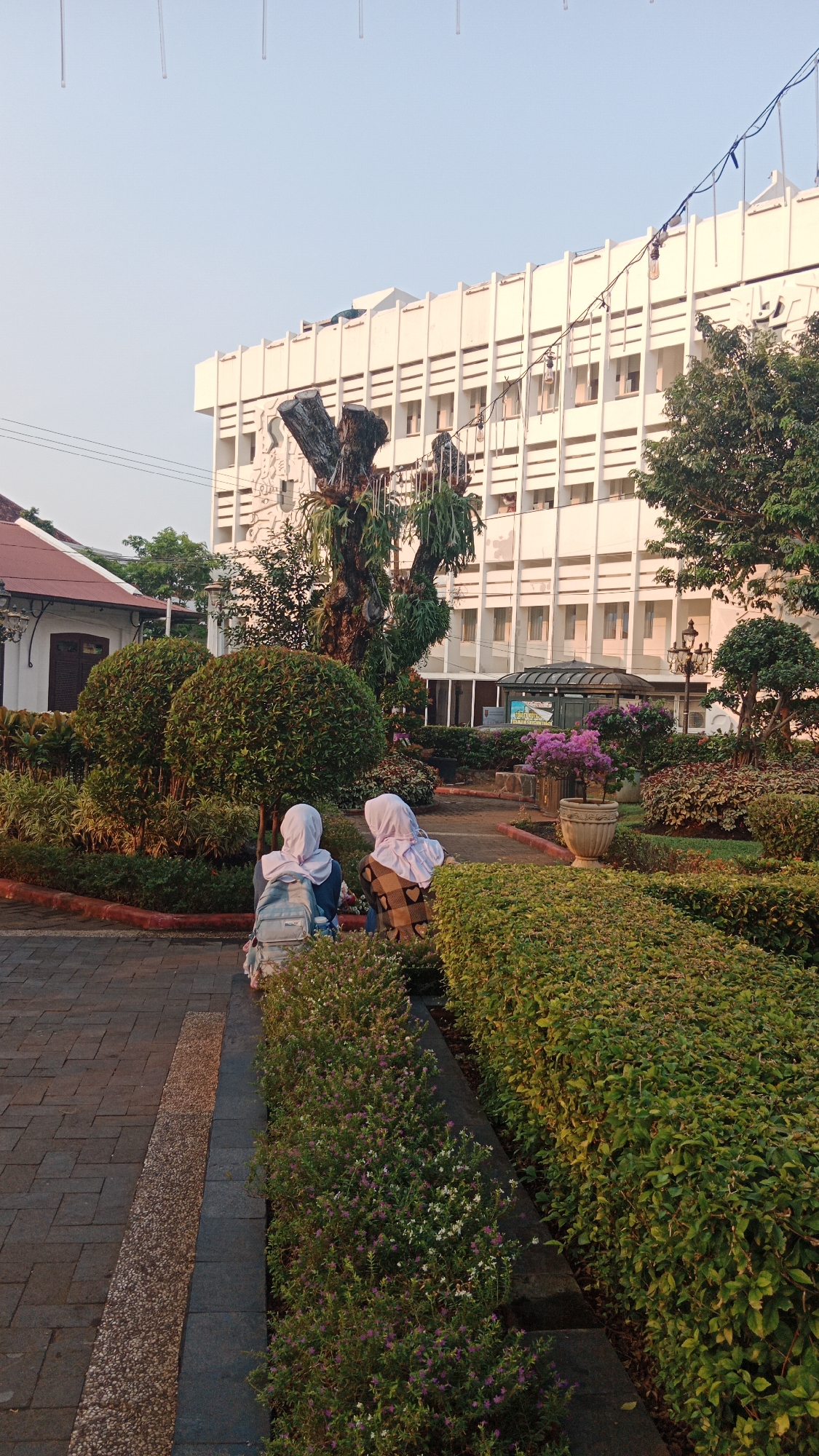 Two young females, dressed in hijabs and backpacks, are seated on a manicured garden path in front of a large, white, multi-story building. The building has a repetitive facade of horizontal and vertical lines and numerous windows. In the foreground, there is a variety of lush green bushes and flowering plants, with a tree stump in the center of the garden, adorned with hanging plants. The ground is paved with interlocking bricks and some gravel. The scene appears to be a public space, likely a park or courtyard, possibly near a school or institution, given the attire of the individuals. The lighting suggests it is either early morning or late afternoon, with warm, soft sunlight illuminating the scene. The overall environment is well-maintained and tranquil. The image is likely taken in Semarang, Indonesia, a city known for its historical architecture and green spaces.
