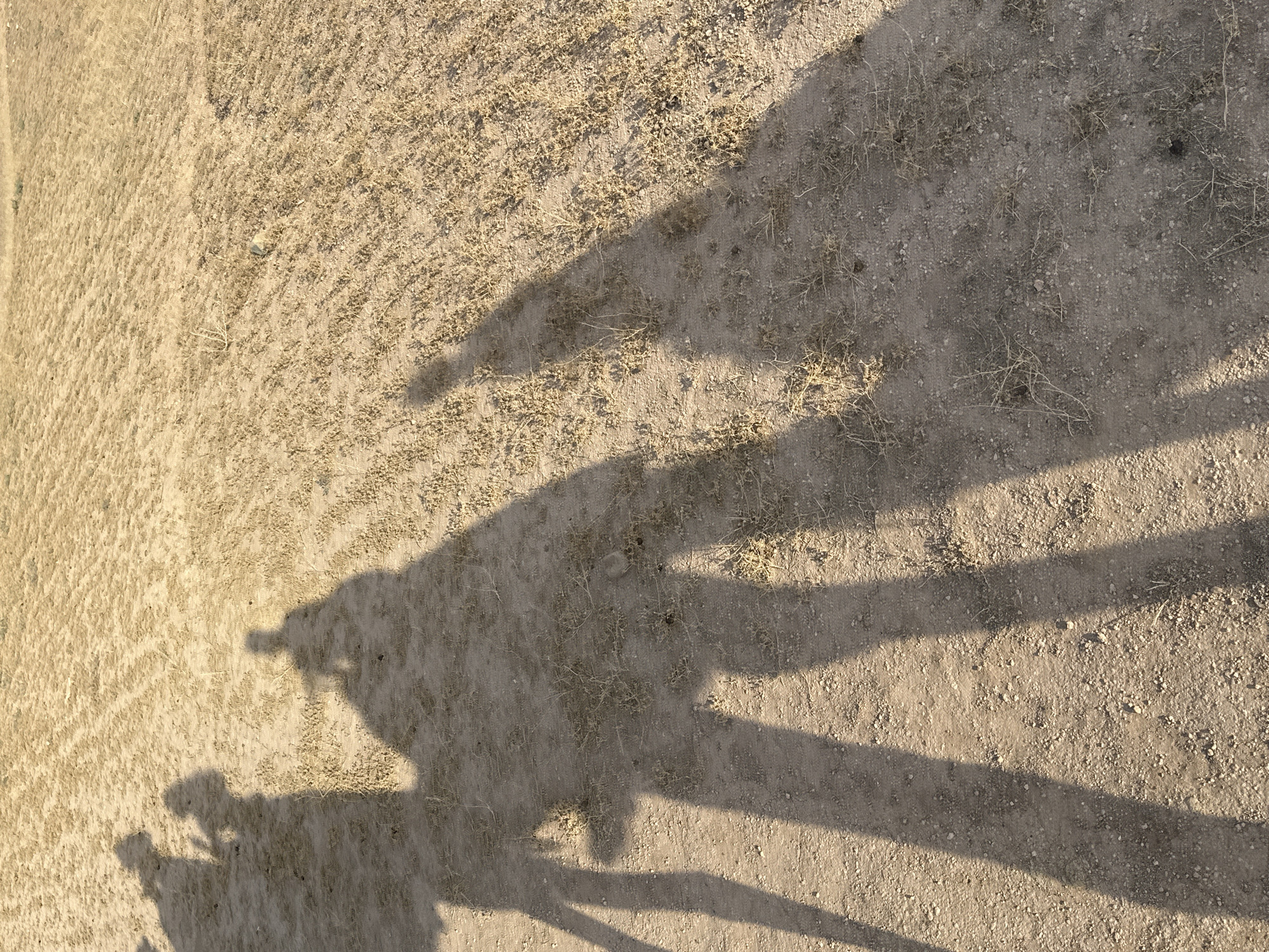 The image depicts a shadow of several people, one holding what appears to be a camera or phone, cast onto a dirt or sandy ground, likely in an arid environment. The ground is covered with sparse vegetation. The scene is possibly located in or near Sidi Badhaj, Morocco.