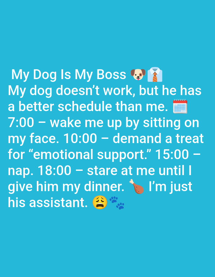 This is a digital image with a solid cyan background. White text is overlayed on the image, creating a meme. The text reads: "My Dog Is My Boss ๐ถ๐ My dog doesn't work, but he has a better schedule than me. ๐๏ธ 7:00 - wake me up by sitting on my face. 10:00 - demand a treat for "emotional support." 15:00 - nap. 18:00 - stare at me until I give him my dinner. ๐ I'm just his assistant. ๐ฅ ๐พ" There are also emojis present: a dog, a shirt and tie, a calendar, a chicken leg, a sad face, and two paw prints. The image does not depict any identifiable locations in Pushkino, Russia, or any people or specific environmental details that would relate to that location.