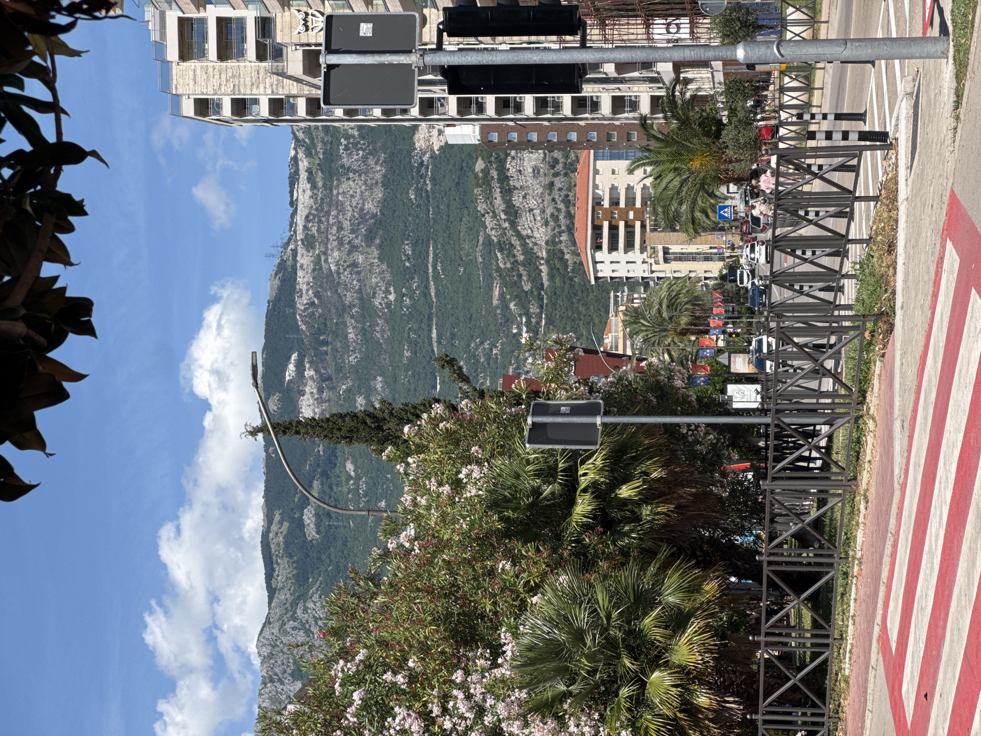 This image depicts a sunny urban street scene in Budva, Montenegro, with a mountainous backdrop. The time is daytime, characterized by a blue sky with scattered white cumulus clouds.
In the immediate foreground, at the lower left, a red and white striped pedestrian crossing (zebra crossing) is visible on a paved road. Adjacent to the road, a dark grey metal fence with an X-pattern design runs along a concrete curb, bordering a grassy area with some low-lying vegetation. Further right on the curb, a grey pole with black and white striped bollards is present.
The midground features a multi-lane asphalt road with white lane markings. Several vehicles, including white sedans and vans, are visible on the road, with some appearing to be stopped or moving slowly in traffic. Multiple pedestrians are present, including a man in a light-colored shirt and a woman in a pink top walking across the street from left to right. Along the left side of the road, dense subtropical vegetation dominates, comprising several large palm trees, numerous flowering bushes with light pink or white blossoms (likely Oleander), and a tall, slender conifer-type tree.
On the right side of the road, a series of modern multi-story buildings rise. The most prominent building on the far right features light-colored stone cladding, multiple balconies with glass railings, and a distinctive white architectural detail resembling an owl logo on its facade. Scaffolding is visible on the lower right exterior of this building, suggesting construction or renovation work. Further down the street, another building with a red-tiled roof and light-colored walls is visible, also featuring balconies. Multiple grey metallic poles supporting black traffic signal boxes and blank black sign panels are positioned on the right side of the street. In the distance, a line of small, colorful flags on poles is visible, hanging above the street.
The background is dominated by a large, rugged mountain range. The lower slopes are densely covered with dark green trees and foliage, while higher elevations reveal exposed grey rock formations. Evidence of human infrastructure, specifically power transmission towers and lines, can be observed traversing the mountain slopes. Small clusters of white buildings are faintly visible nestled on the lower parts of the distant mountains. The very top edge of the image is partially obscured by dark green, broad leaves from an overhead tree or plant.