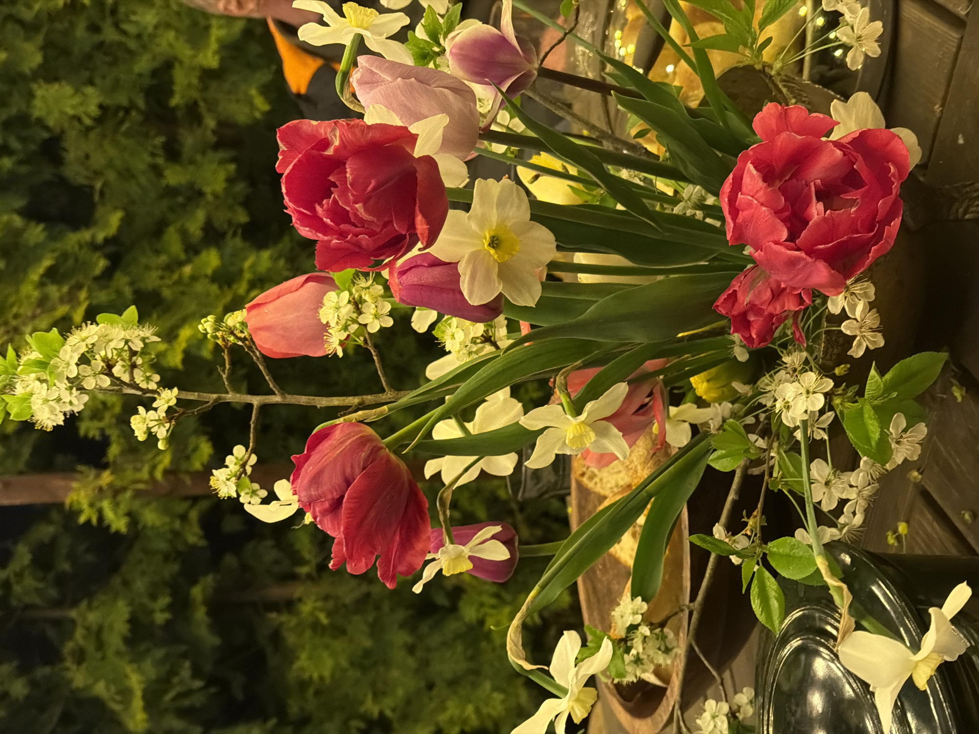 A vibrant floral arrangement is featured, comprising red and purple tulips, white daffodils, and small white flowering branches, possibly cherry blossoms. The arrangement is set indoors on a dark surface, possibly a wooden table. The background shows outdoor foliage and the edge of what may be a person's clothing. The image appears to be taken at night or in a dimly lit environment. There is no indication the image was taken in Sapronovo, Russia.