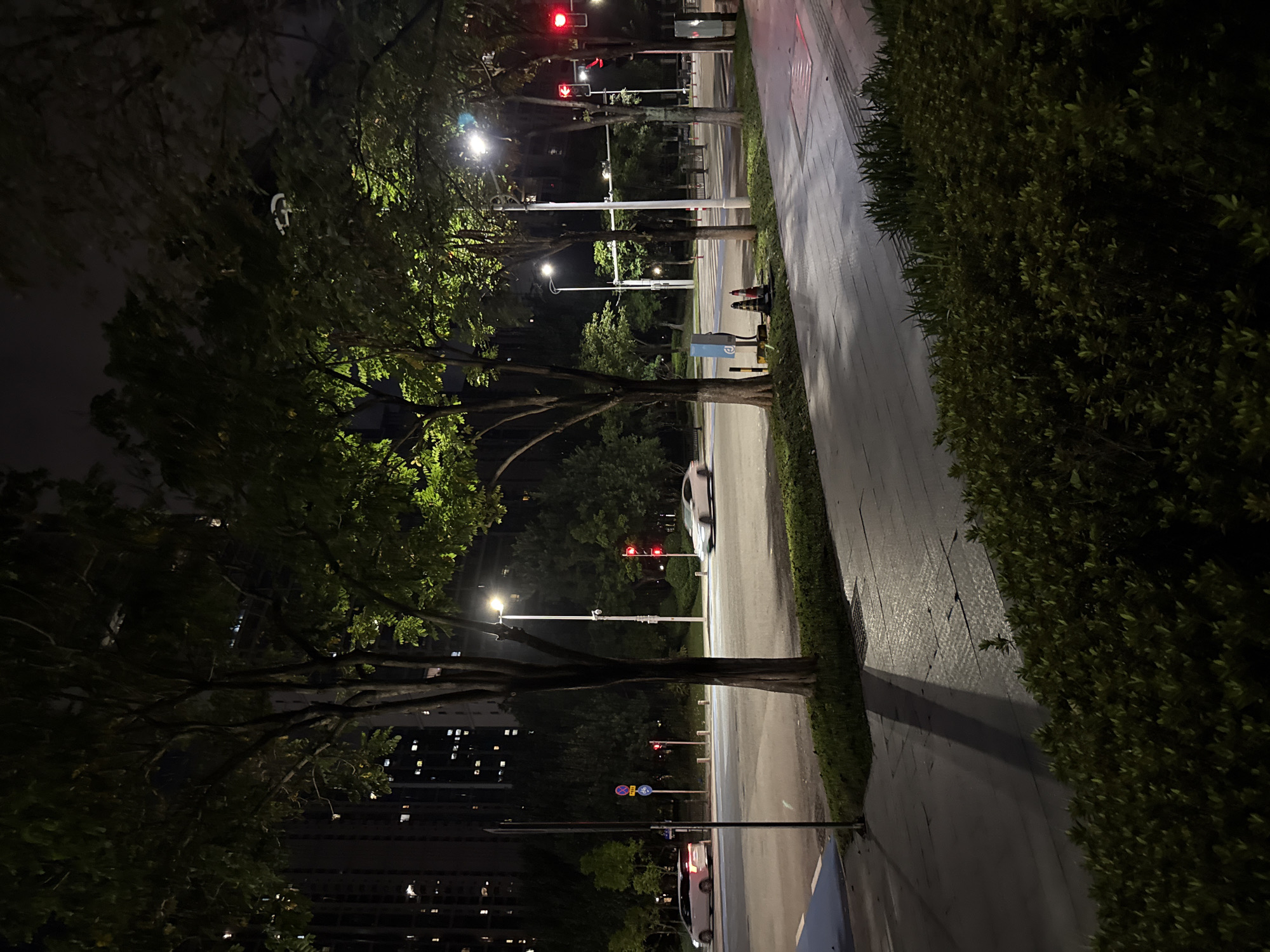 The image captures a nighttime view of an intersection in Haizhu District, China. Tall residential buildings with illuminated windows are visible in the background. In the foreground, a tree-lined street features several trees with green foliage, illuminated by streetlights. A paved walkway runs alongside the street, bordered by manicured bushes. The intersection itself is lit, with traffic lights showing red. Two cars, one a light-colored sedan and another a white SUV, are present on the road. Traffic cones and a blue utility box are situated on the side of the road. The pavement of the walkway has a distinct patterned texture, and the road surface reflects the ambient light. The scene is characterized by the contrast between the dark night sky, the lit buildings, the illuminated trees, and the artificial lighting of the street and intersection.