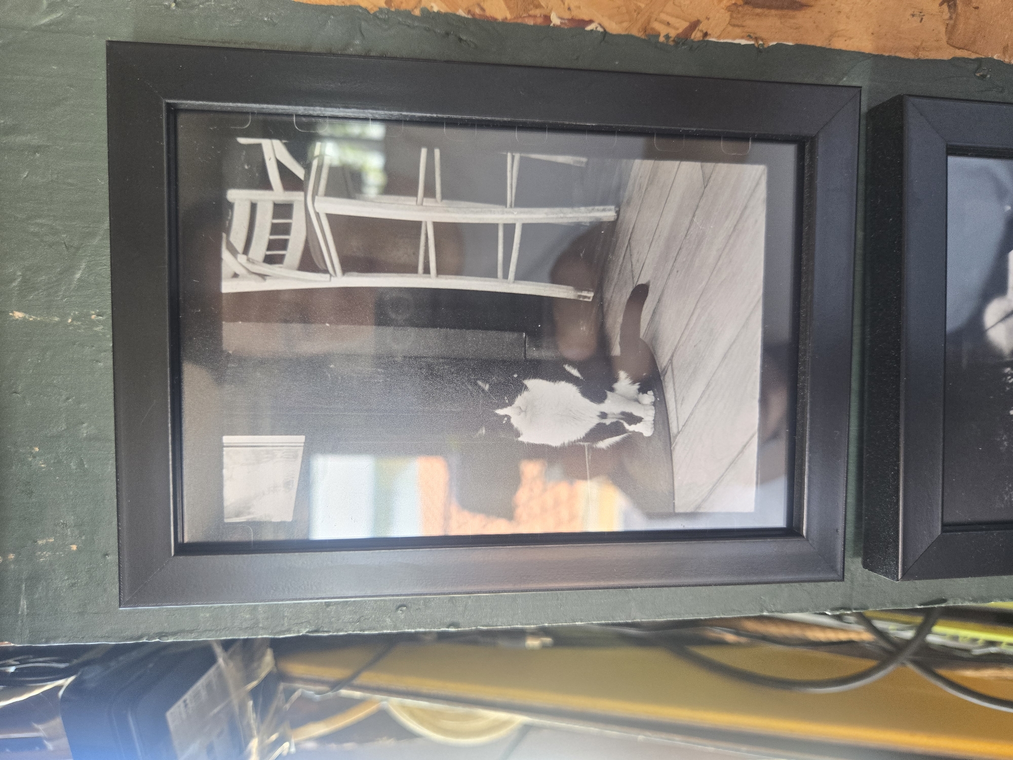 A black-and-white photograph of a cat lying on a deck, framed and mounted to a dark green wall. The photograph is partially obscured by reflections. The location is Zemun Urban Municipality, Serbia, based on metadata. The environment includes visible electrical wiring and a possible fluorescent light fixture below the framed photograph. A second framed photograph is partially visible to the right.