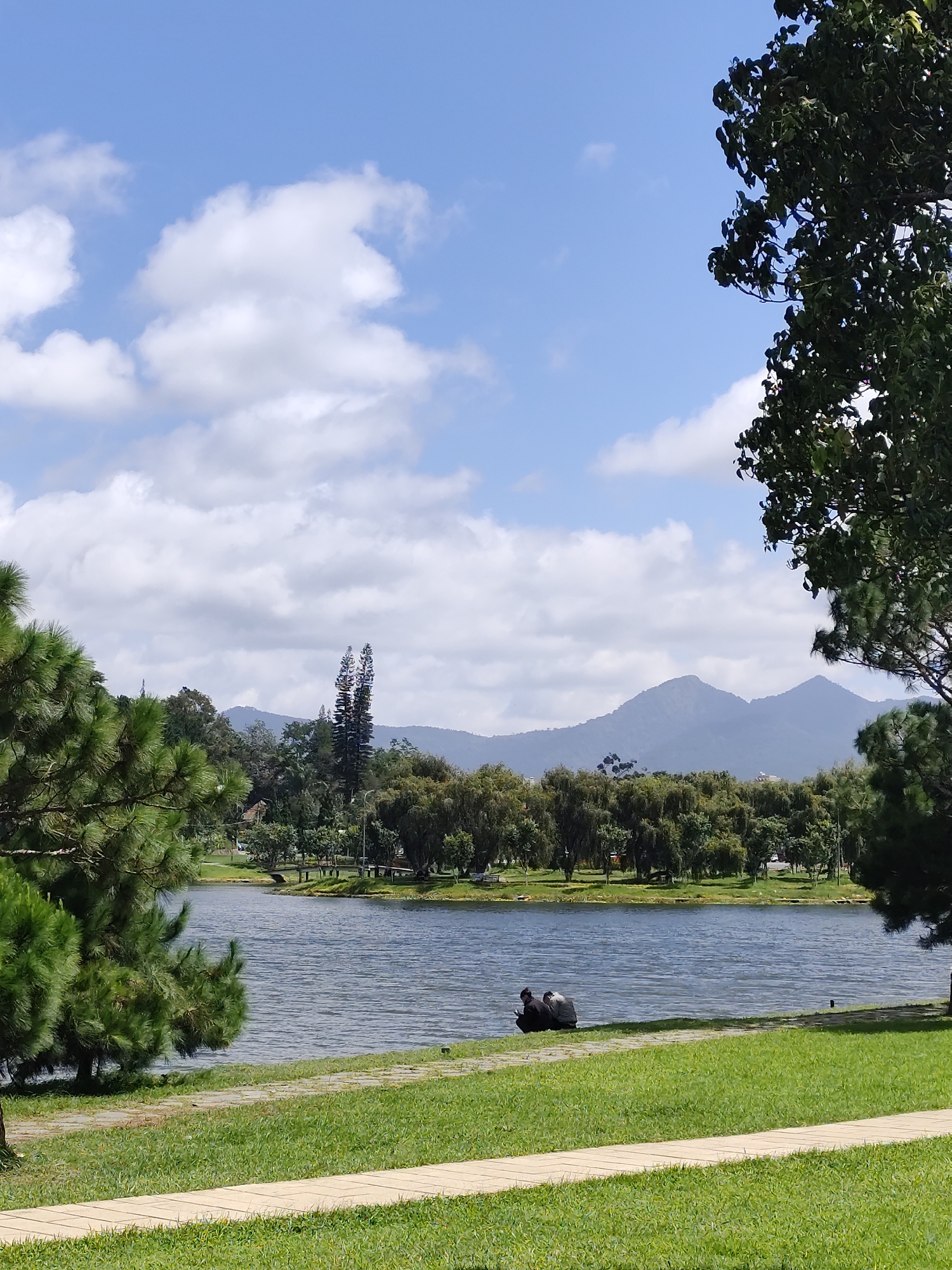 The image depicts a scenic view of Xuan Huong Lake in Da Lat, Vietnam, on a sunny day with scattered clouds. In the foreground, a paved walkway meanders through lush green grass. To the left, a large pine tree with characteristic needle-like leaves frames the scene. Across the water, a dense line of trees forms the middle ground, with a few taller, more slender trees interspersed. In the distance, rolling hills and mountains are visible under a bright blue sky dotted with white clouds.
On the shore of the lake, in the middle ground, two individuals are seated, facing the water, with one appearing to be holding a phone. The lake itself is calm, reflecting the sky and surrounding landscape. The overall atmosphere is one of tranquility and natural beauty, characteristic of Da Lat's popular tourist attractions.