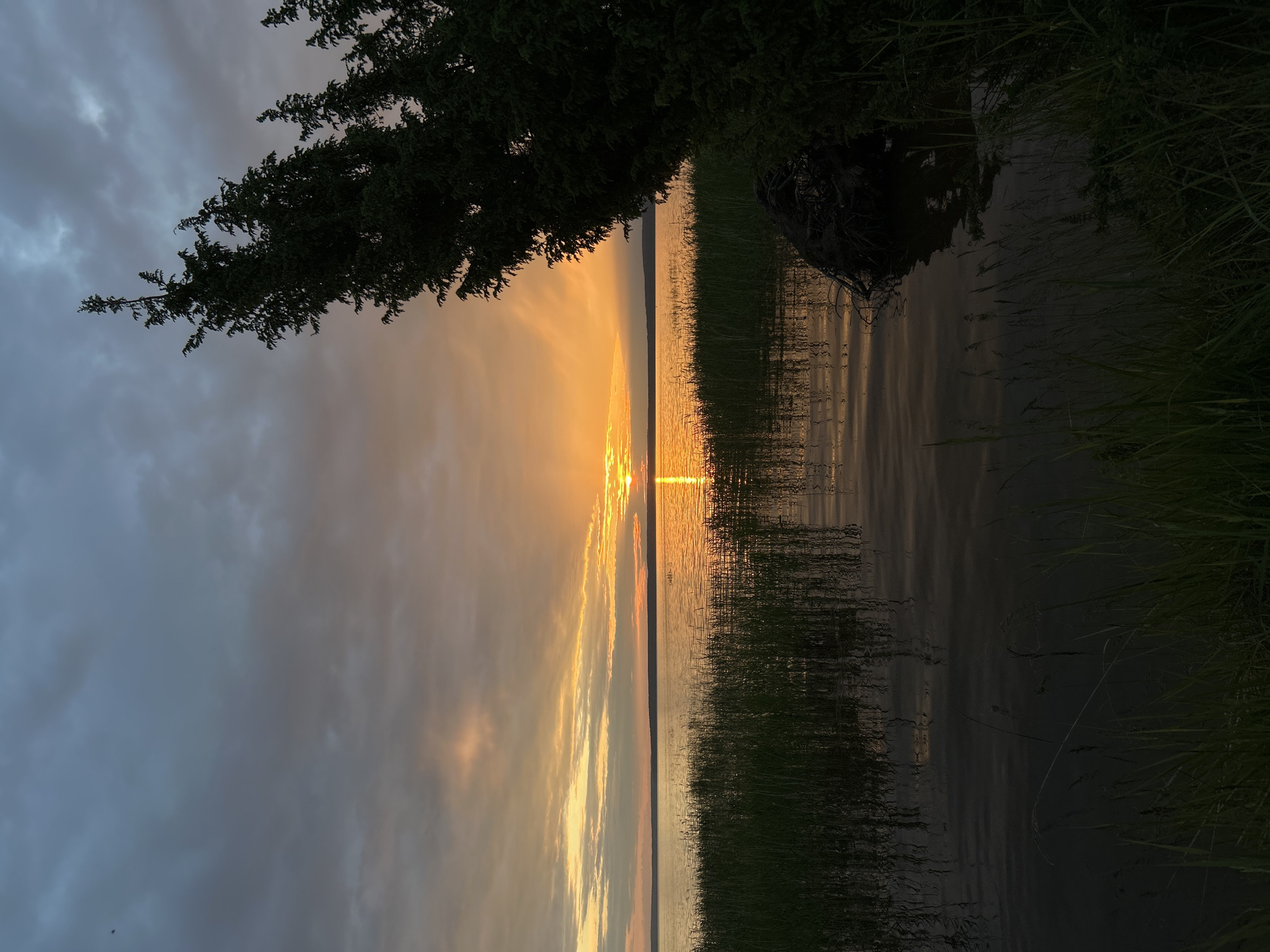 The image depicts a serene sunset over a body of water, likely a lake or large river, with reeds growing along the shore. A dark evergreen tree leans over the water from the right side of the frame. The sky is a mix of dark clouds and orange and yellow hues from the setting sun, with rays of light piercing through. The water reflects the colors of the sky and the surrounding vegetation. The scene appears to be a natural landscape, possibly a park or natural reserve. There are no people or specific structures visible that would indicate a precise location within the city of Plishkino, Russia. The overall impression is one of tranquility and natural beauty at dusk.