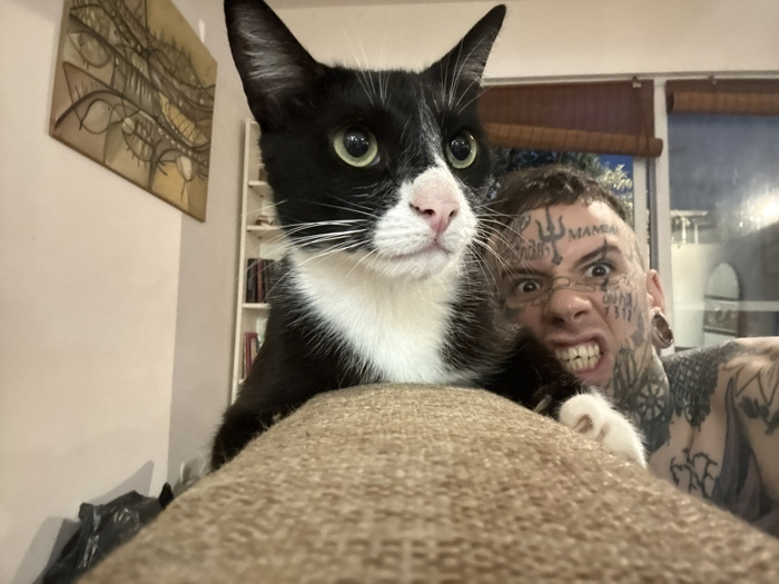 A black and white cat with striking green eyes sits perched atop a beige sofa. To the right, a tattooed man grins fiercely, displaying his teeth. The man has numerous tattoos across his face and body, including writing and symbols. A framed abstract painting hangs on the wall behind the cat, and a window with blinds is visible in the background behind the man. The composition is close, creating an intimate and somewhat unsettling portrait.