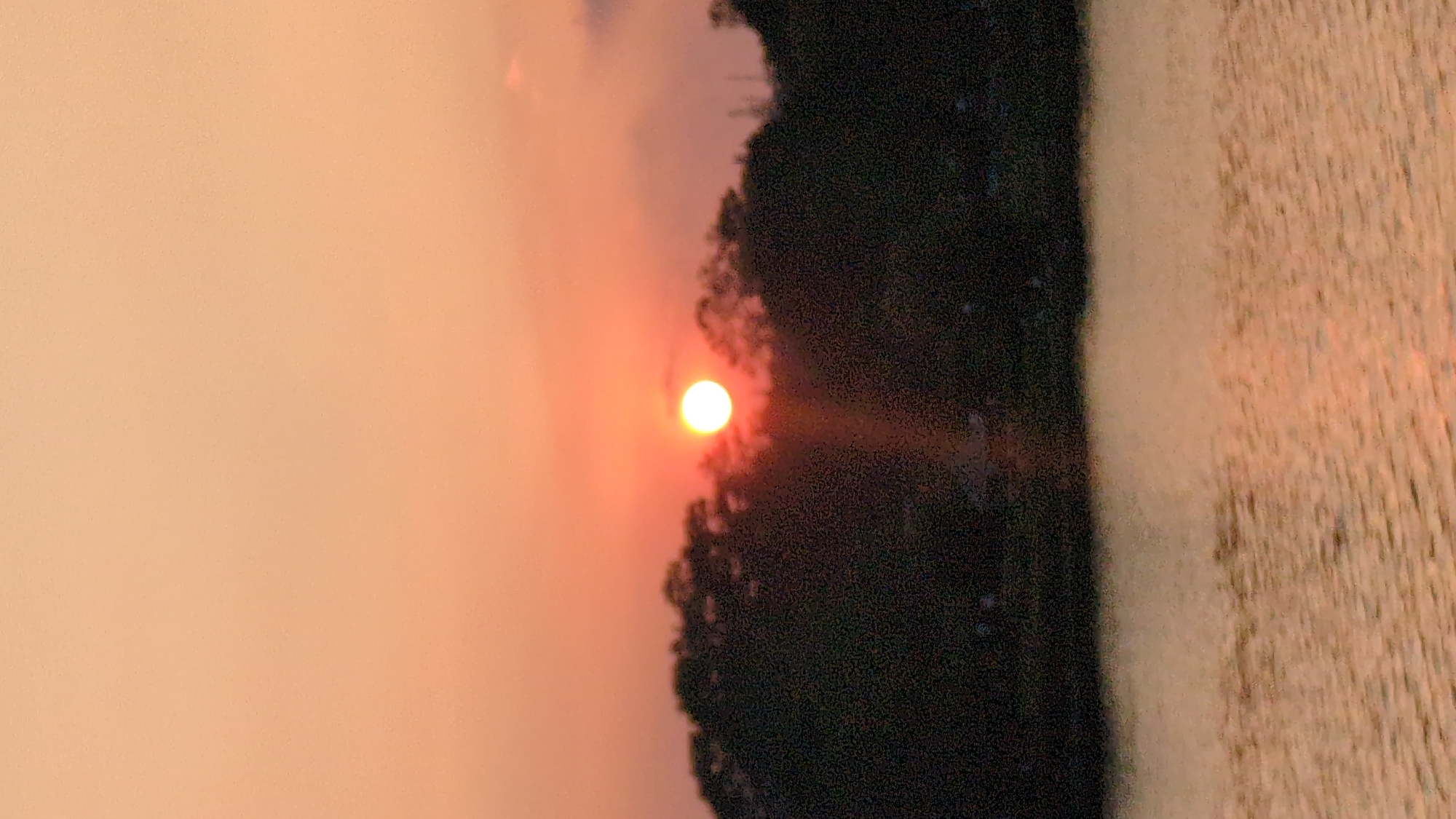 The image depicts a sunset scene, likely over water, with a light orange and pink sky. A bright, round sun is visible, partially obscured by dark foliage on the right side of the image. The body of water, if present, is a textured, light brown-gray. The image is vertically oriented. Without further visual or contextual clues, it is impossible to confirm the precise location in Da Lat, Vietnam.