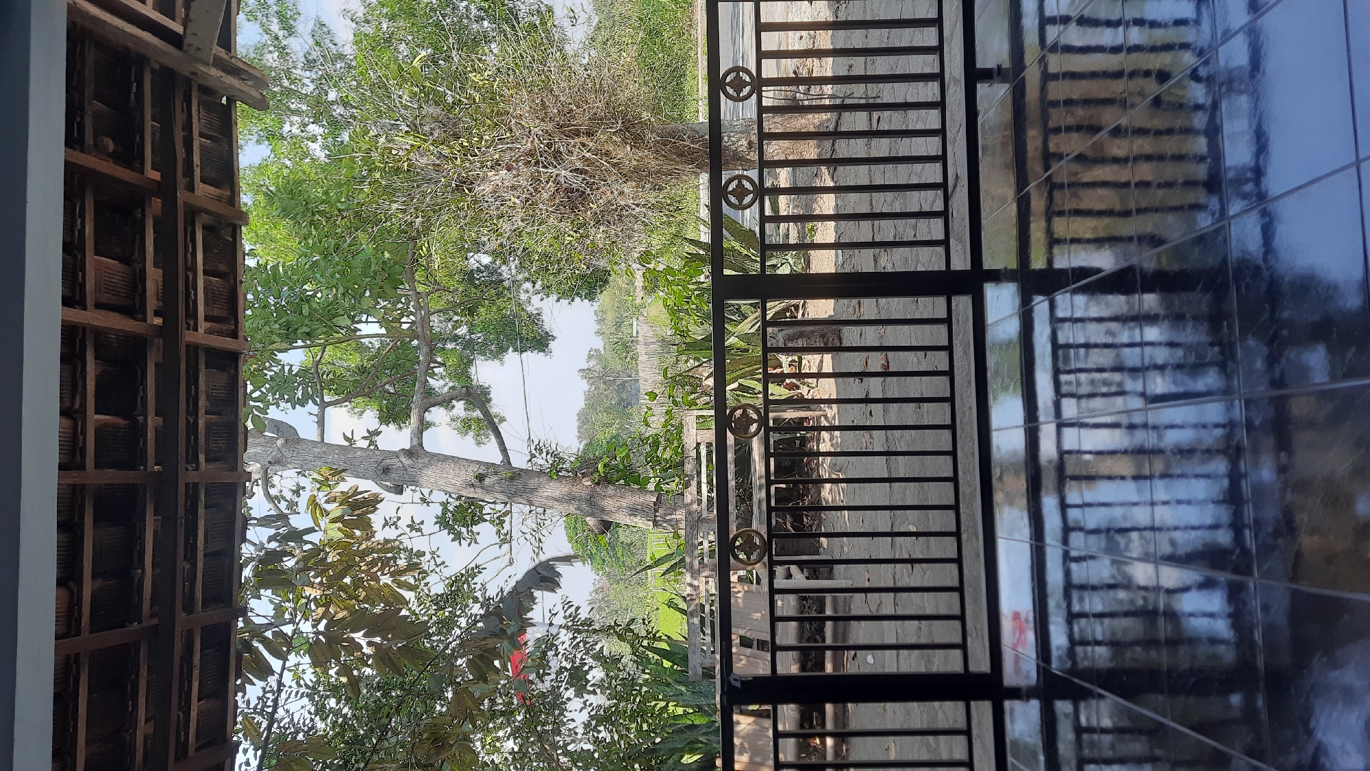 The image captures a view from a covered porch overlooking a semi-rural landscape in Minggir, Indonesia. The foreground features a black metal railing with decorative circular elements, positioned in front of a paved ground area. Beyond the railing, a wooden bench is visible, partially obscured by lush green foliage and the trunks of several trees, one with a distinctive light-colored, gnarled trunk. In the background, a field of green crops extends towards a line of trees and distant structures, suggesting a mix of agricultural and residential elements. The sky above is partly cloudy. The floor in the immediate foreground is tiled and highly reflective, mirroring the railing and the scene beyond.