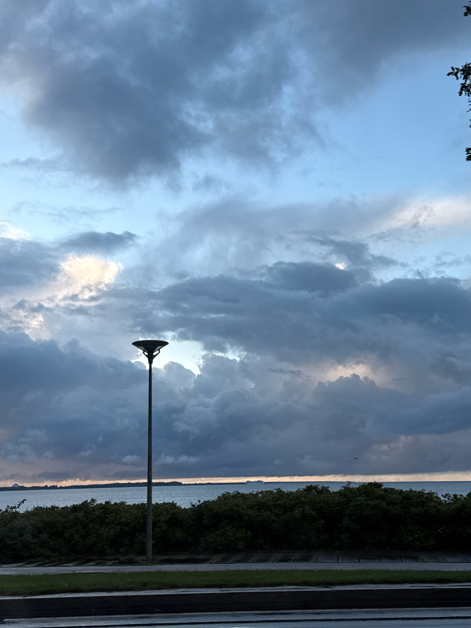 The image depicts a cloudy sky over a body of water, likely the Baltic Sea, with a dark green line of bushes separating the water from a paved area in the foreground. A single, tall, dark lamppost stands in the middle of the frame, silhouetted against the sky and water. The sky is filled with dramatic, heavy clouds in shades of gray and white, with patches of light breaking through in places. The water is calm and reflects the muted colors of the sky. The overall impression is one of overcast, possibly stormy weather. The scene appears to be a coastal area in Tallinn, Estonia, possibly near a park or waterfront promenade.