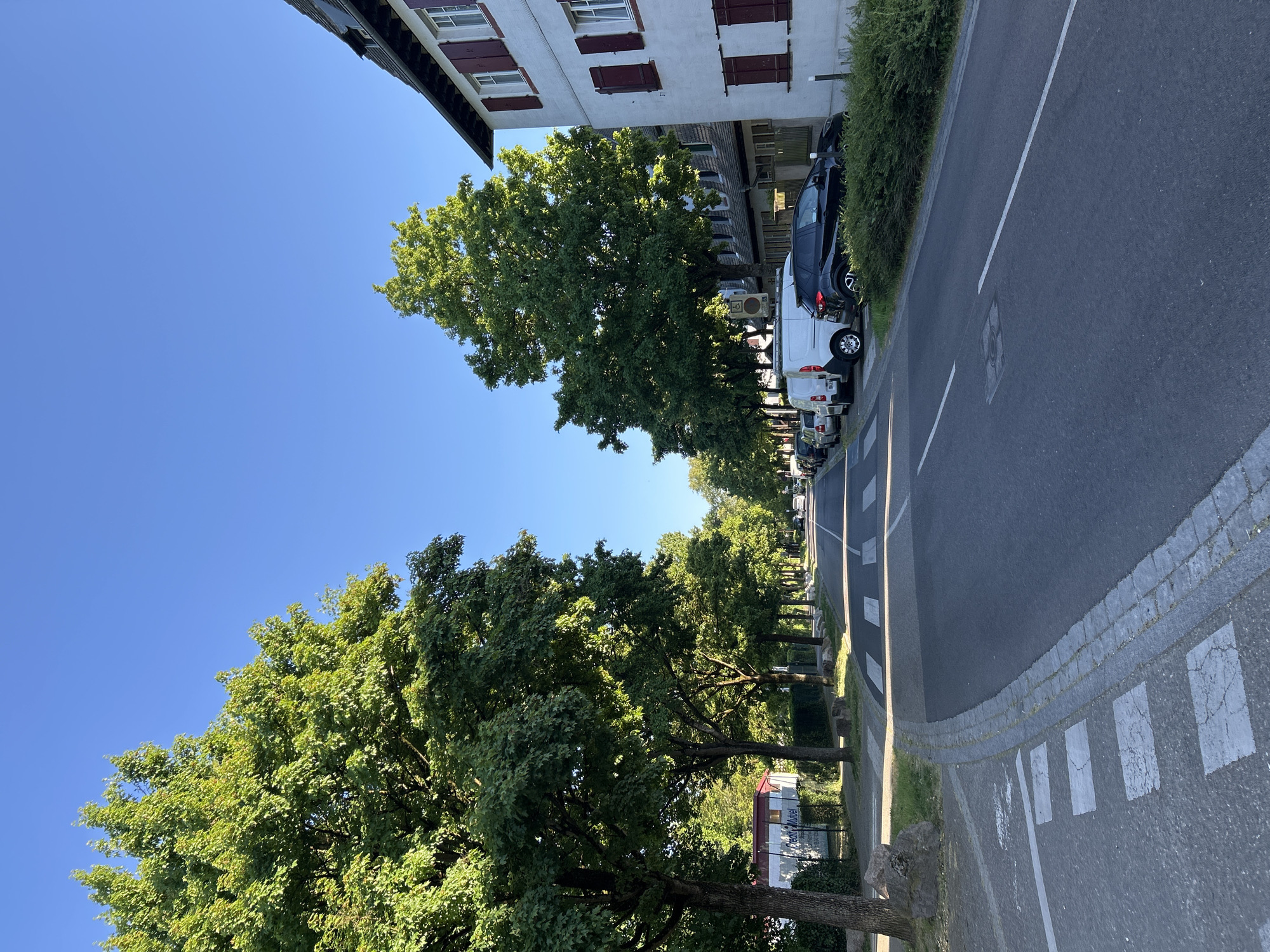 The image captures a sunlit street scene in Strasbourg, France, on a clear day. The vibrant blue sky dominates the upper portion of the frame, indicating bright and sunny weather, likely late morning or early afternoon due to the strong, distinct shadows cast by the trees.
On the left side of the street, a continuous line of large, mature trees with lush green foliage forms a verdant canopy. The trees are densely leafed, suggesting spring or summer. Further down the street, partially obscured by the trees, a small reddish-brown structure with a white sign is visible. The sign clearly displays the text "Crédit Mutuel," a well-known French bank.
On the right side of the street, a multi-story building with a white facade and numerous windows adorned with dark red-brown shutters is prominent, characteristic of European architecture. A neat green hedge runs along the base of the building, separating it from the street.
The asphalt road features clear white markings, including solid and dashed lines, and a section of a pedestrian zebra crossing is visible in the foreground. Several vehicles are parked along the right side of the street, including a dark-colored car and a white van. A grey cobblestone curb separates the road from the sidewalk and the parked vehicles. A round metal utility cover is embedded in the road surface. No people are visible, and no specific event or activity is taking place, presenting a peaceful urban landscape.