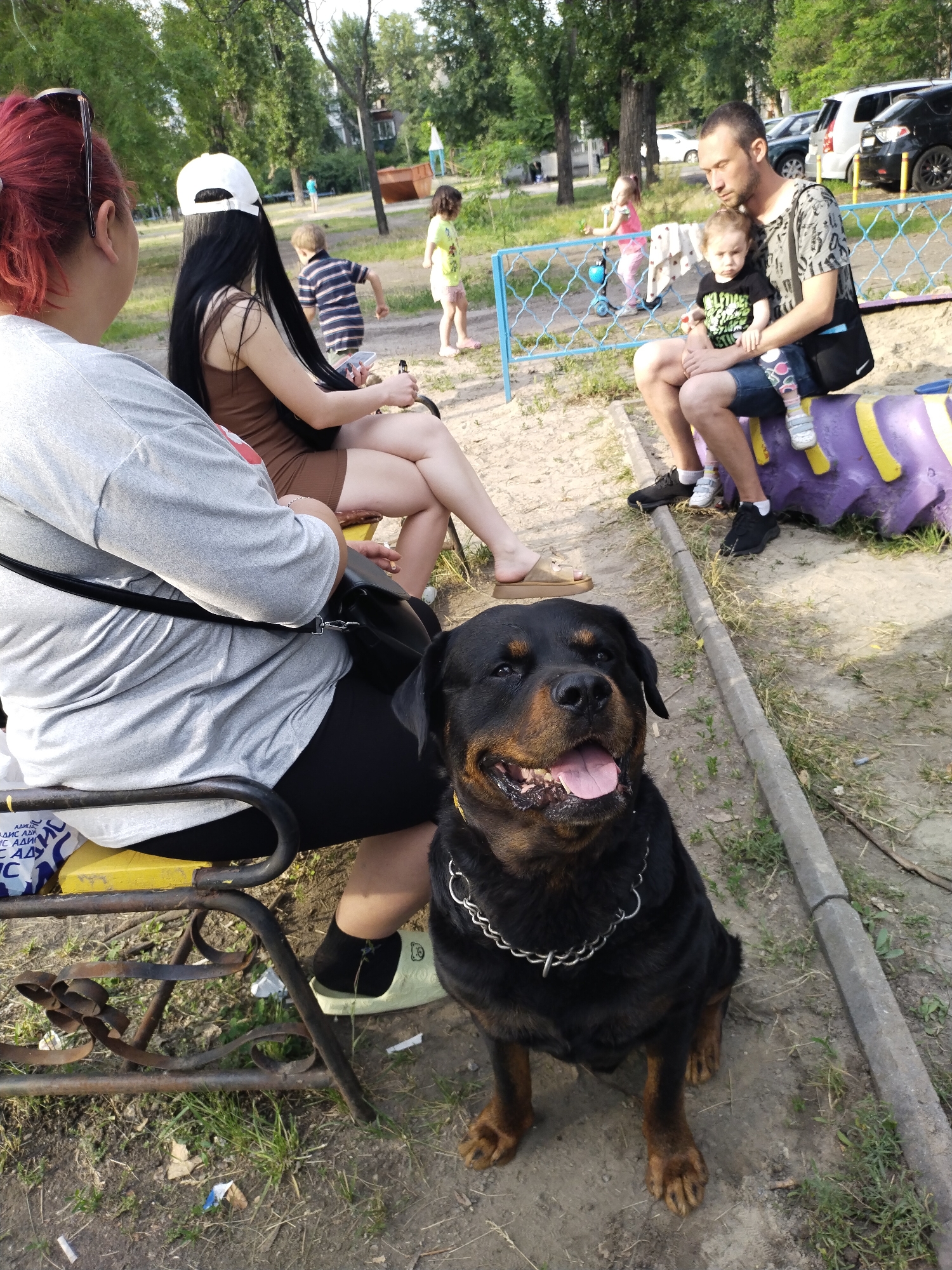 This image, captured in Horishni Plavni, Ukraine, depicts an outdoor scene, likely a park or playground, under natural daylight. In the foreground, a black Rottweiler dog with tan markings is seated on a dirt and sparse grass surface, facing the camera with its mouth open and tongue extended. The dog wears a silver metal chain collar. A grey concrete curb runs diagonally across the ground, from the lower-center to the mid-right.
To the left, two women are seated on a yellow metal bench. The woman in the immediate foreground has red hair, wears a grey t-shirt and black pants, and is primarily seen from behind, with sunglasses resting on her head. Adjacent to her, a second woman with long dark hair, wearing a white baseball cap backward and a brown fitted dress, is also seated on the bench, holding a mobile phone in her lap. Her legs are crossed, and she wears light brown slip-on sandals. A black shoulder bag rests beside the first woman. Underneath the bench, a white plastic bag displaying Cyrillic text is visible, alongside discarded cigarette butts and small paper fragments on the ground.
In the middle ground on the right, a man with short dark hair and a beard, wearing a grey patterned t-shirt and denim shorts, is seated on a purple and yellow caterpillar-shaped playground structure. He holds a small child, a toddler, on his lap. The child wears a dark t-shirt with a light green design and patterned leggings, looking towards the camera. A black shoulder bag is slung over the man's left shoulder.
In the background, several children are visible: one boy in a striped shirt is running towards the left, and two girls are further back—one in a yellow t-shirt and light shorts, and another in a pink shirt near a blue metal fence. A blue kick scooter is positioned near the fence. The background consists of numerous green trees, suggesting a park setting. In the far right background, several parked vehicles, including a white van and a black car, are visible.