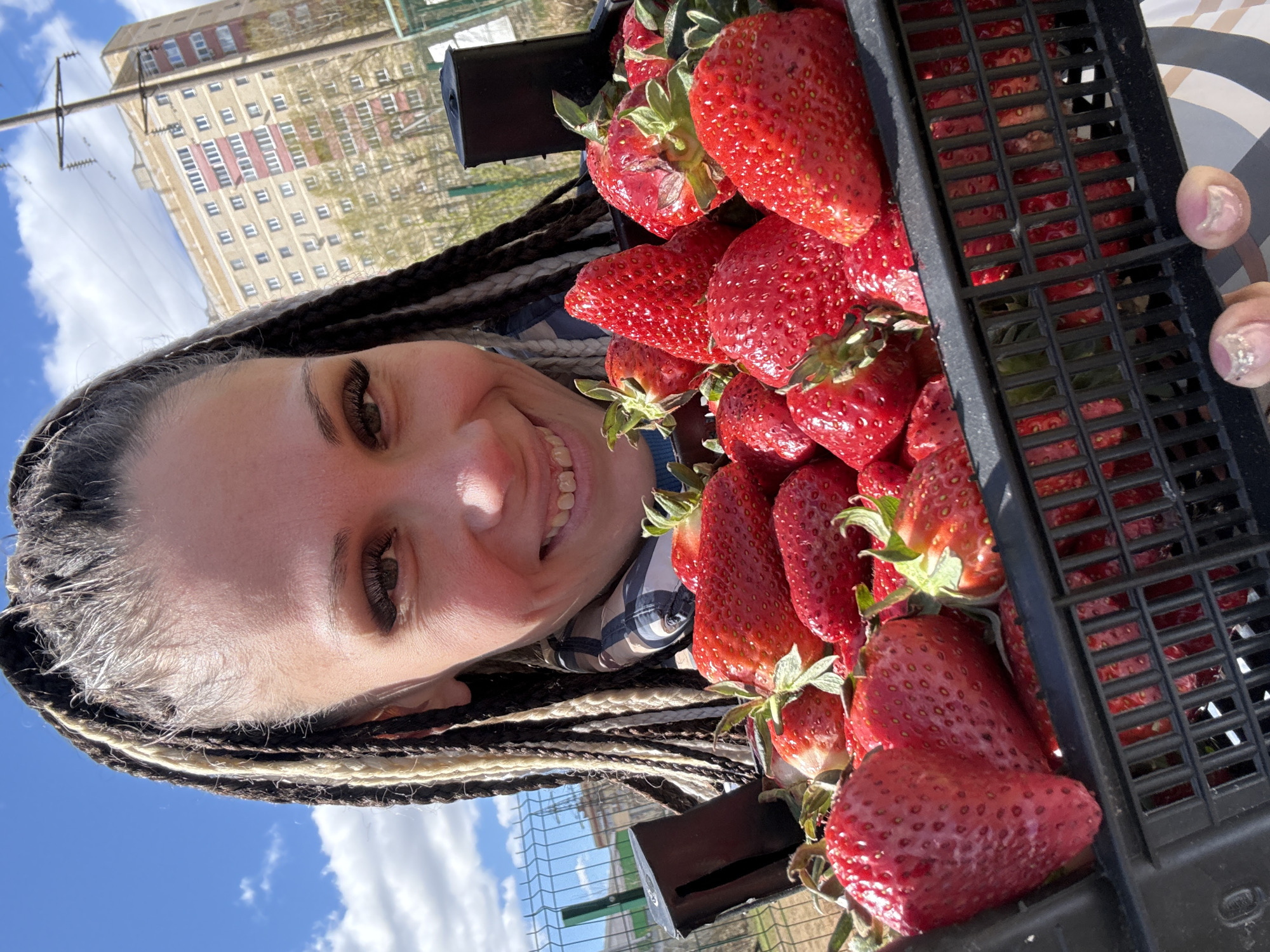A medium shot, taken from an elevated vantage point, captures a woman holding a black plastic crate brimming with strawberries. The woman, with light skin and brown eyes, smiles broadly, her white teeth visible. Her hair is styled in long, two-toned braids, a mix of white-blonde and dark brown strands.
The crate, filled to the brim with ripe strawberries, takes up a significant portion of the frame. The berries are bright red and glossy, with their green leaves still attached.
The background features a mix of urban and natural elements. A tall, multi-story building with numerous windows is visible in the upper left corner, a power line running across the frame in front of it. Below, a glimpse of a green fence and foliage suggests a garden or park setting. The sky is light blue with scattered white clouds.