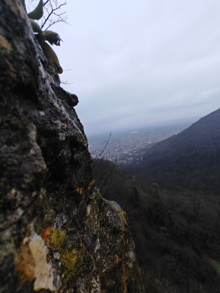 The scene depicts an elevated, distant view overlooking the city of Shumen, Bulgaria, situated in a valley. The left foreground is dominated by a rugged, dark grey rock face exhibiting patches of bright green and yellow lichen, with several thin, bare twigs protruding from its surface. In the mid-ground, the urban area of Shumen is visible, characterized by a dense cluster of buildings extending across the valley floor, with open fields discernible beyond. The right side of the frame features a steep, densely forested hillside, comprising dark, leafless trees, descending towards the valley. The sky is uniformly overcast and grey, indicating diffused light conditions. No human subjects or explicit actions are present within the frame.
