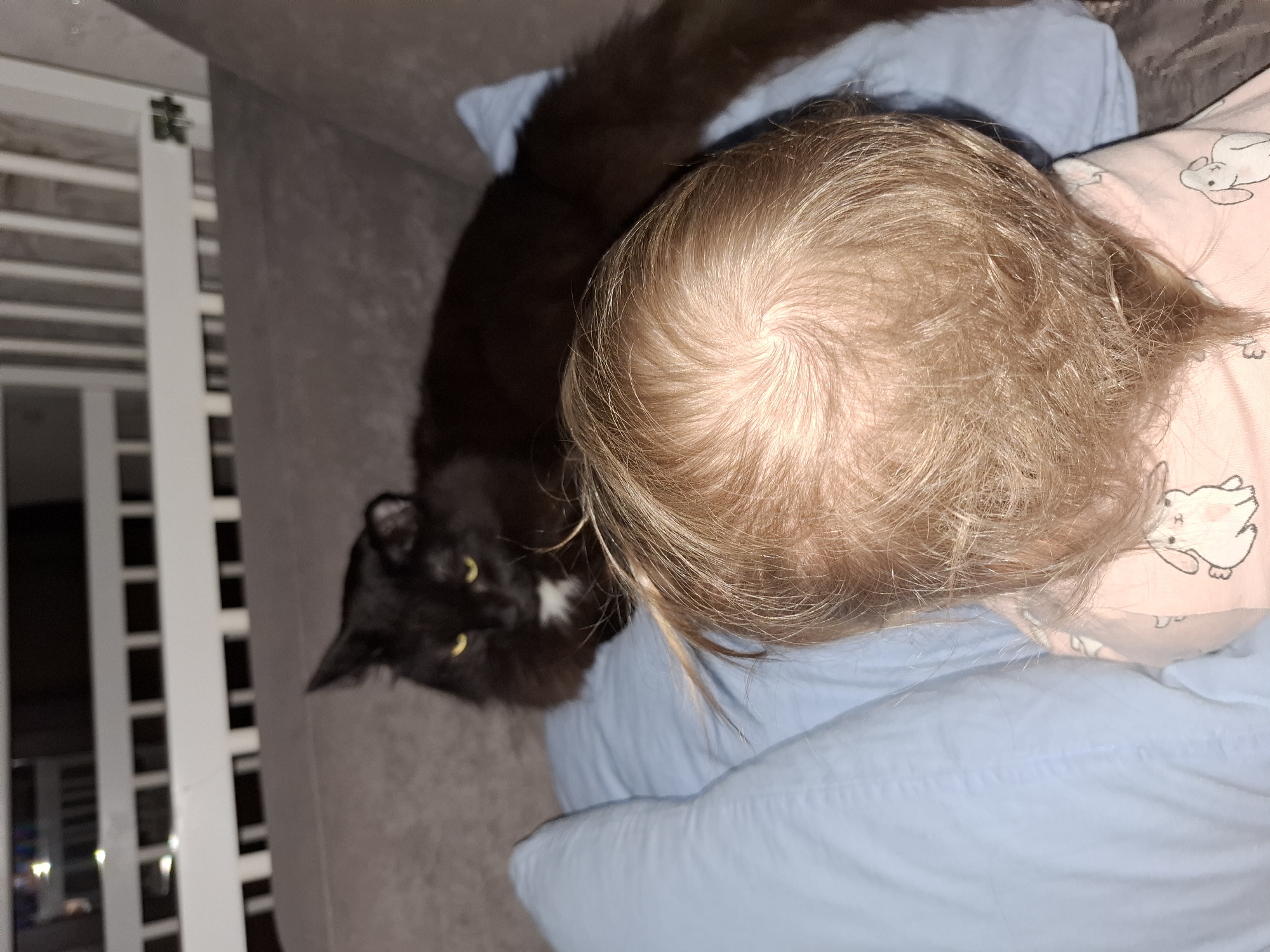 The image, taken in Chaikovsky, Russia, presents an intimate indoor scene featuring a child and a black cat. The child, whose head is visible from above, has light blonde hair, showcasing a distinct hair whorl. They are resting on a light blue pillow or blanket and wearing a pink garment, possibly pajamas, adorned with a white cartoon rabbit design.
Beside the child, a long-haired black cat with bright yellow eyes and a small white patch on its chest is comfortably settled on a soft, grey couch or bed. The cat's gaze is directed towards the camera, while the child's head is turned away, resting.
To the left of the frame, partially visible, are white vertical and horizontal slats, strongly resembling a crib or safety gate. Beyond these slats, faint, blurred lights are visible, suggesting a low-light environment or nighttime outside. The overall atmosphere conveyed is one of quiet companionship and domestic tranquility, with both subjects seemingly at ease in their home setting. No text is visible in the image.