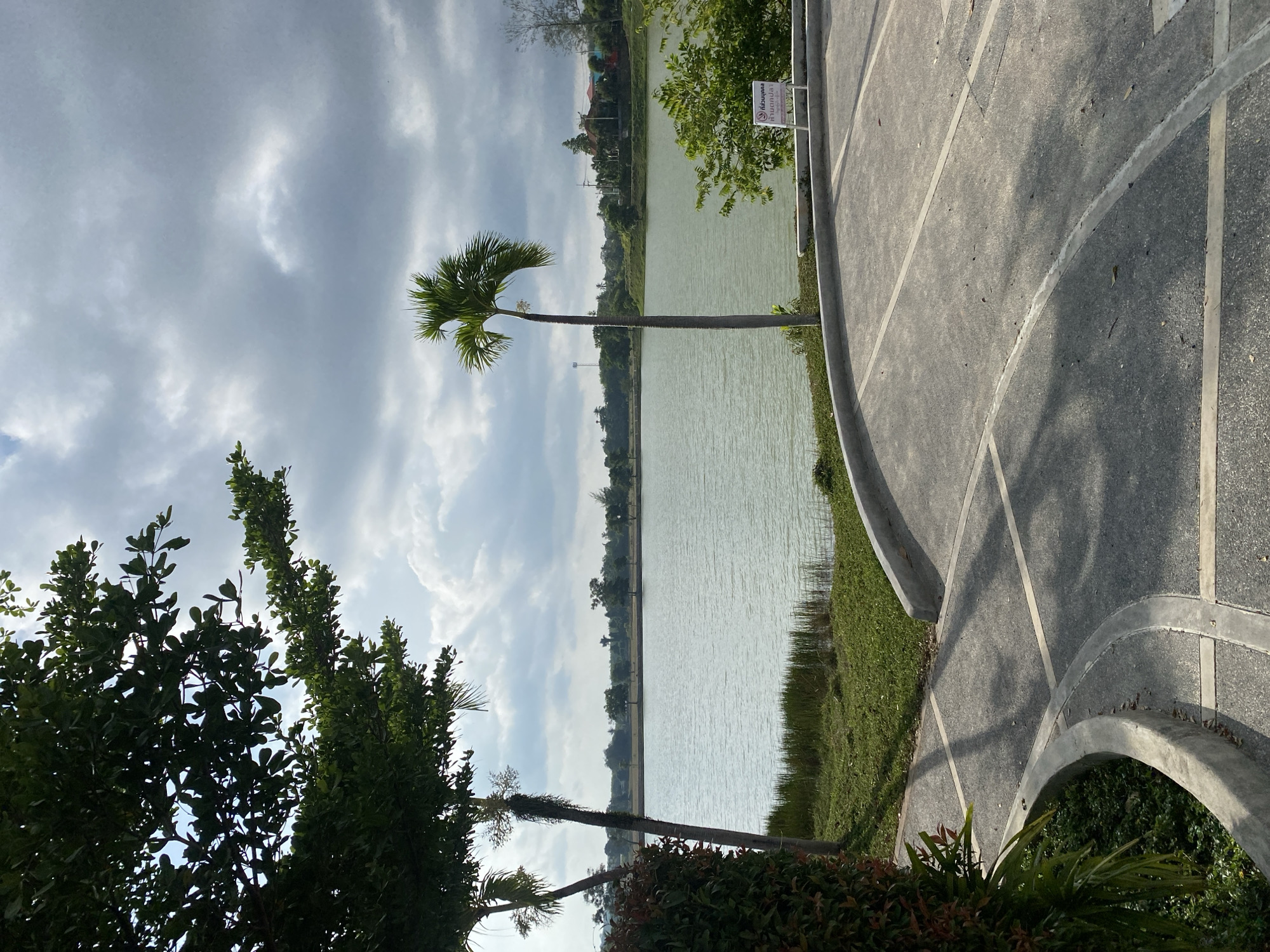 This image captures a tranquil outdoor scene, rotated 90 degrees counter-clockwise, depicting a body of water alongside a paved pathway under a partly cloudy sky. The setting suggests a park or a natural recreational area, located in Choeng Thale, Thailand.
The primary subjects are the calm, light green water, a tall palm tree, and a paved walkway. A slender palm tree with vibrant green fronds stands prominently at the water's edge on the right side of the frame. On the left and foreground, various trees and bushes with dense green foliage are visible, some partially silhouetted against the bright sky. Across the expanse of water, a distant shoreline is lined with more trees, and faint structures, possibly buildings or houses, can be discerned in the background.
On the right, a grey paved path with white stripe markings curves gently, running parallel to the water. A low concrete curb separates the path from the grassy bank.
A white sign with Thai script in red and black is clearly visible near the path and the water. The sign also features a "No Smoking" symbol. The Thai text translates to "No littering" and "No fishing," indicating regulations for the area.
The time of day appears to be late morning or early afternoon, characterized by bright, natural daylight and subtle shadows. The weather is partly cloudy, with a mix of grey and white clouds scattered across the sky. The overall atmosphere is peaceful and serene. No human activity or specific event is depicted, emphasizing the quiet natural environment.