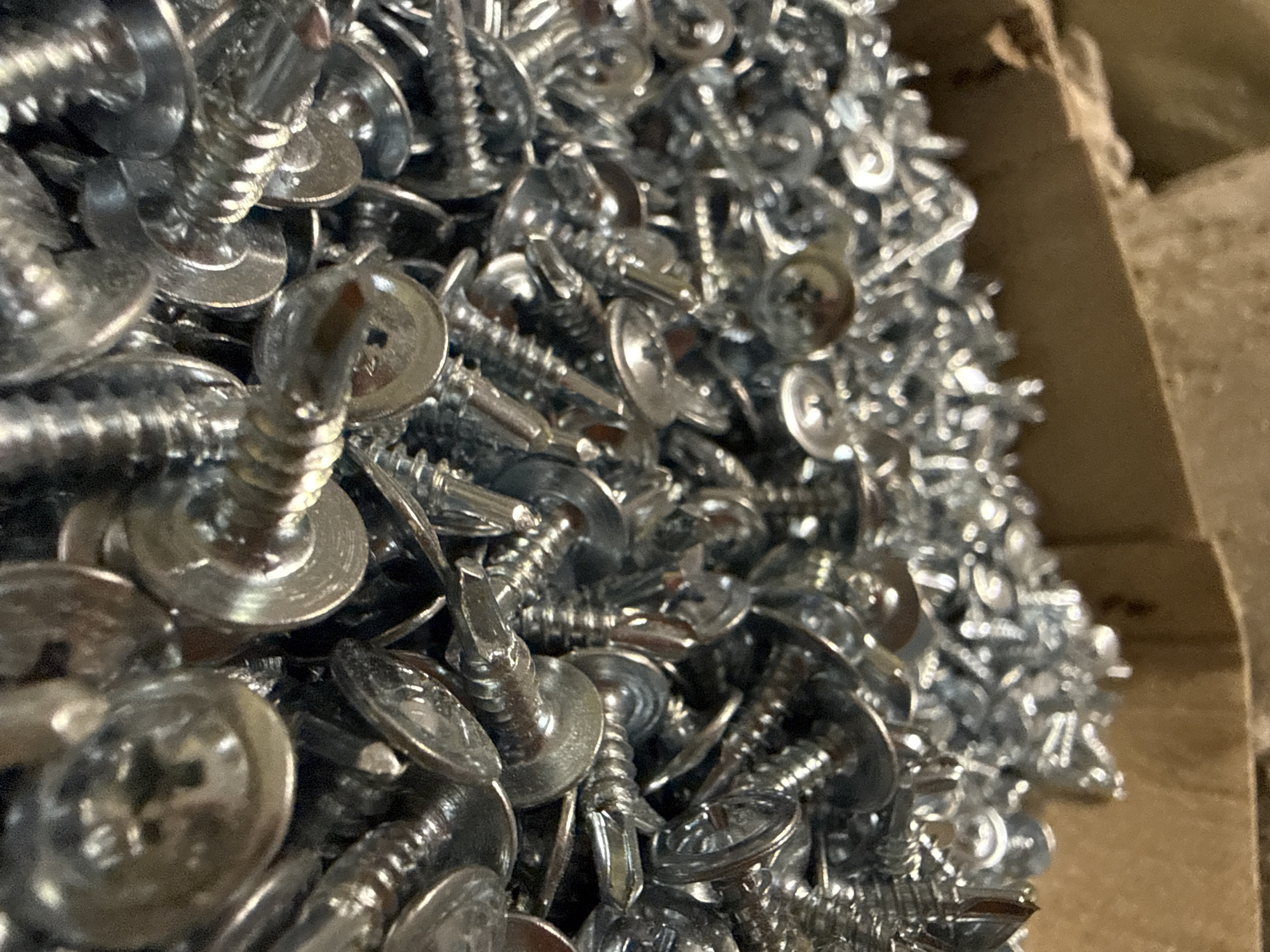 The image shows a close-up, high-angle view of a large pile of shiny, silver-colored screws. The screws are tightly packed together, filling the frame. They are of various sizes and appear to have Phillips head slots. The background is out of focus and shows the texture of cardboard, suggesting the screws are in a box or container. No people, actions, or interactions are visible. The scene is indoors, and the lighting is bright, causing reflections on the metal screws. There is no identifiable information about the location in Moscow, Russia, or any specific context beyond the objects themselves.
