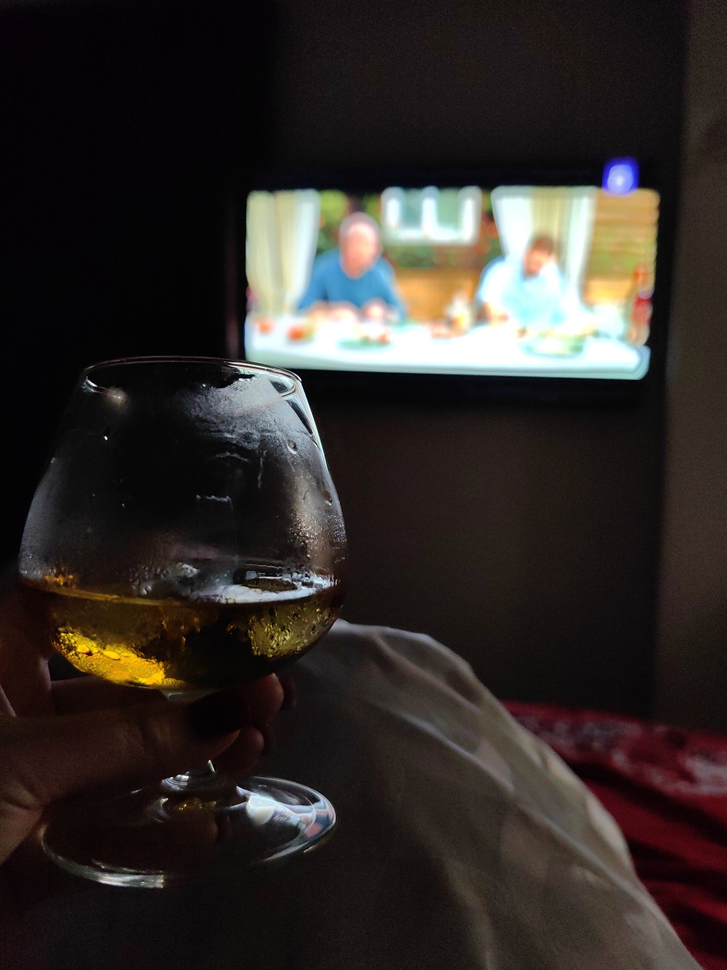 A dimly lit indoor scene shows a hand holding a stemmed glass filled with a golden liquid, likely an alcoholic beverage, with condensation on the outside of the glass. In the background, a television screen displays a blurry image of people sitting around a table, suggesting a meal or gathering. The environment appears to be a bedroom or living area, with a person's leg covered by a light-colored blanket in the foreground, resting on a red patterned surface. The overall mood is relaxed and intimate. There is no indication of the location being the city of Sochi, Russia.