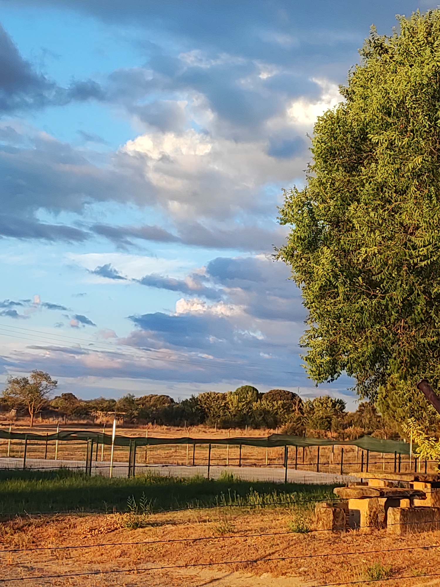 This is an outdoor, medium-angle shot of a rural landscape. The sky, filling the upper half of the frame, is a mix of blue and grey clouds. A large, vibrant green tree dominates the right side of the image, its leaves densely packed and illuminated by natural light. In the middle ground, a fence with vertical posts and wire mesh runs horizontally across the scene, separating a dry, grassy field from a more verdant area beyond. A line of trees and shrubs forms the distant horizon. The foreground features dry, golden grass and a few hay bales arranged in a roughly rectangular shape. There are no people or animals visible in the scene. The overall impression is one of a peaceful, rustic setting under a dynamic sky.