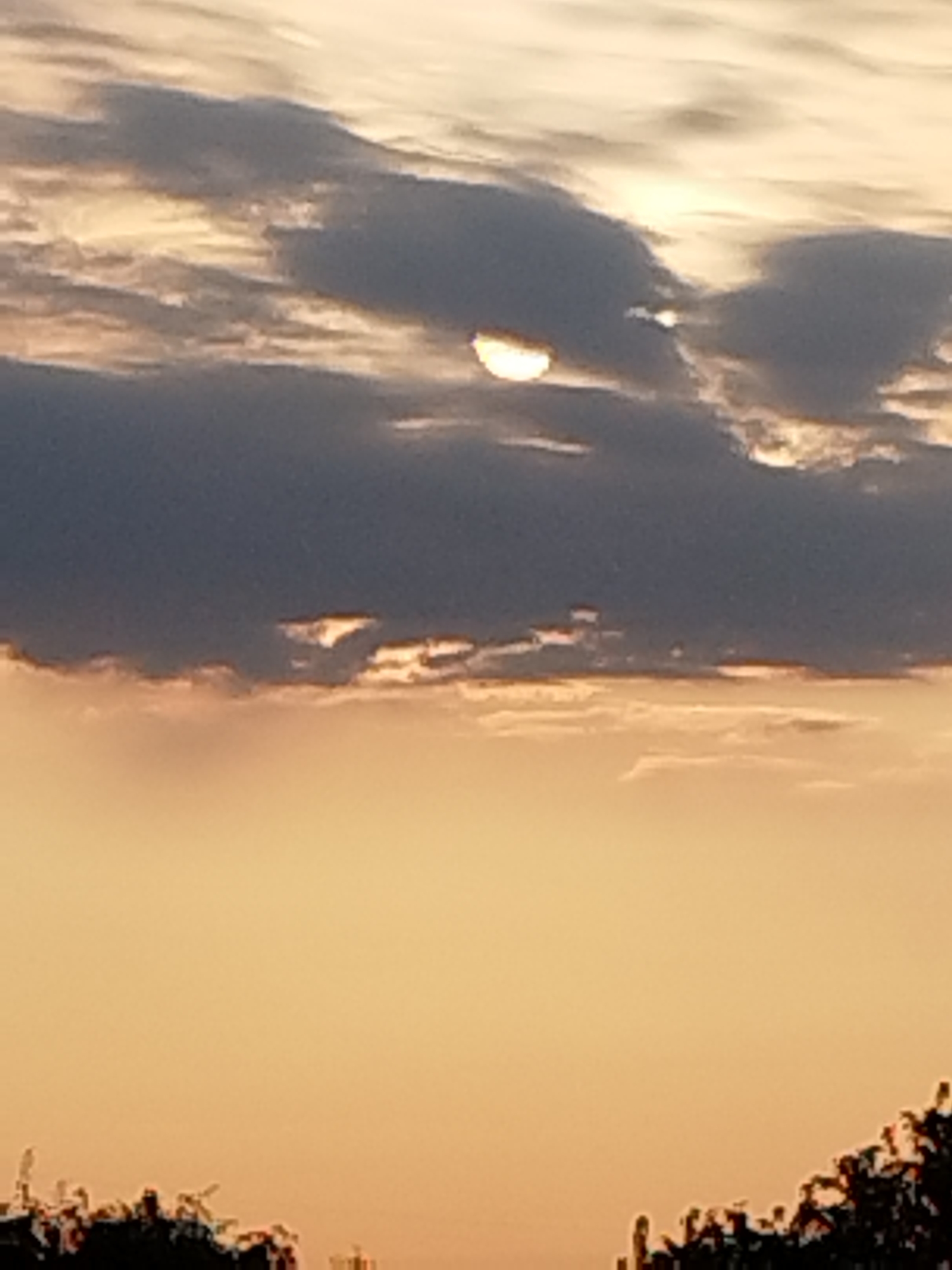 The image shows a sunset with dramatic clouds over the city of Vidra, Romania. The sun is partially obscured by a dark cloud, creating a luminous crescent shape. The sky transitions from a warm orange hue near the horizon to a darker, more muted tone higher up, where lighter clouds are also visible. The silhouette of trees or foliage can be seen at the very bottom of the frame, suggesting a natural landscape or park.