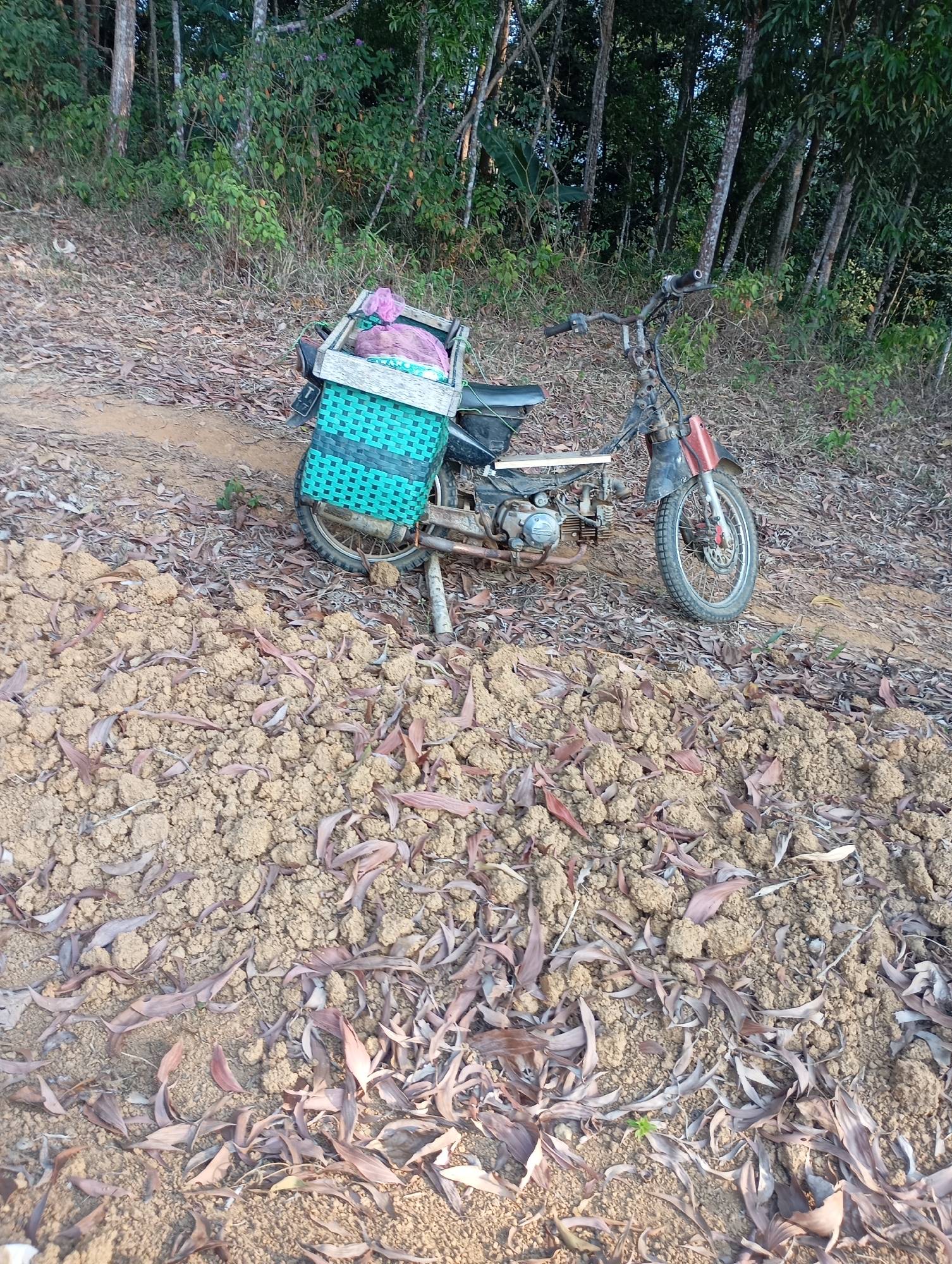 A motorcycle is parked on a dirt path in a wooded area. The motorcycle has a wooden crate attached to the back, which is filled with bags of produce. The surrounding environment is a mix of dirt, fallen leaves, and trees. The image appears to have been taken in the city of Ketepung, Indonesia.