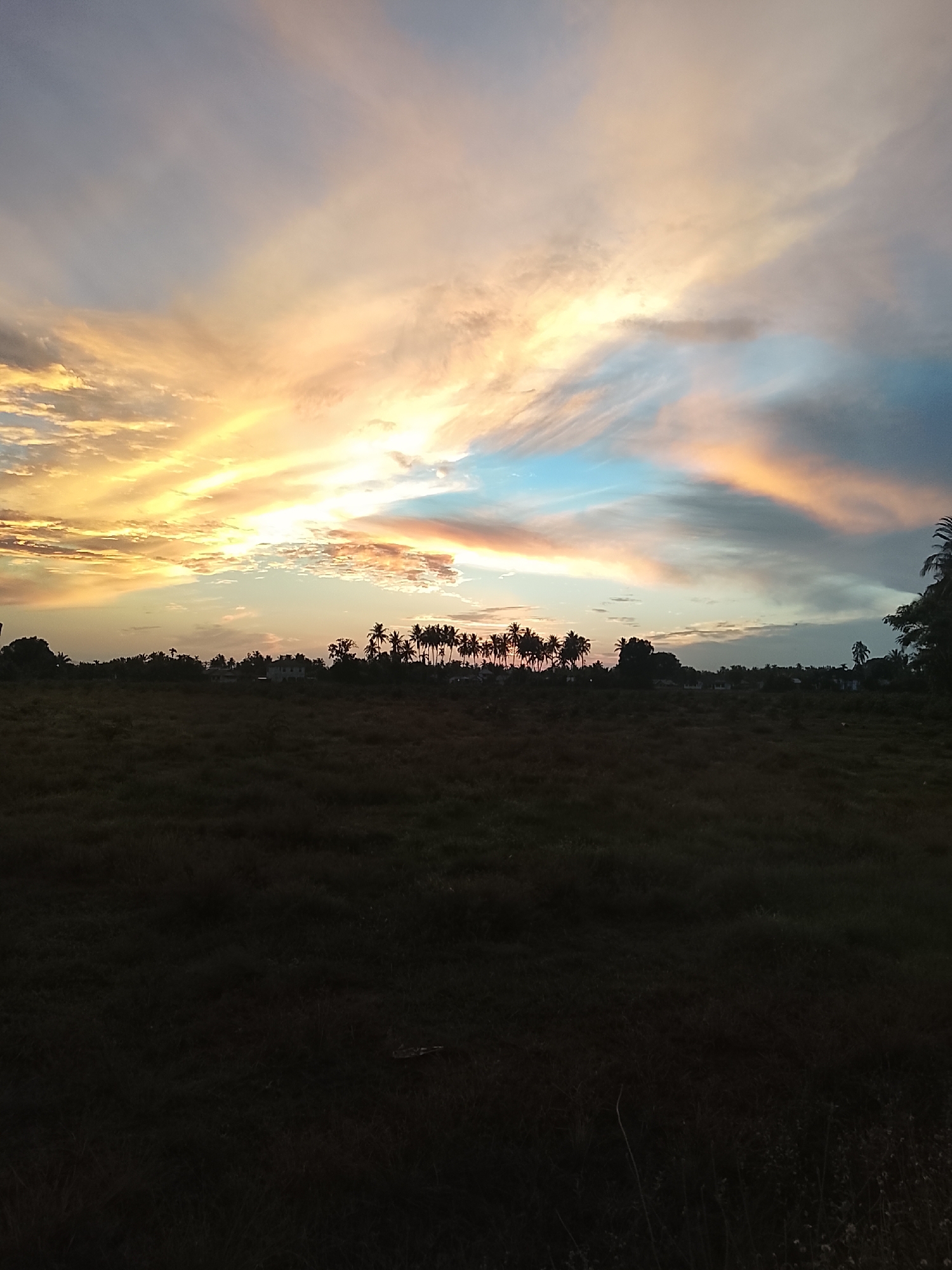 A landscape photograph captures a sunset over a rural area. The sky is filled with dramatic clouds painted in hues of orange, yellow, pink, and blue, indicating the sun is near the horizon. Silhouetted against the vibrant sky is a line of palm trees and other foliage, suggesting a tropical or subtropical environment. In the foreground, a dark, uncultivated field stretches across the frame, its texture softened by the dimming light. The overall impression is one of natural beauty and tranquility.