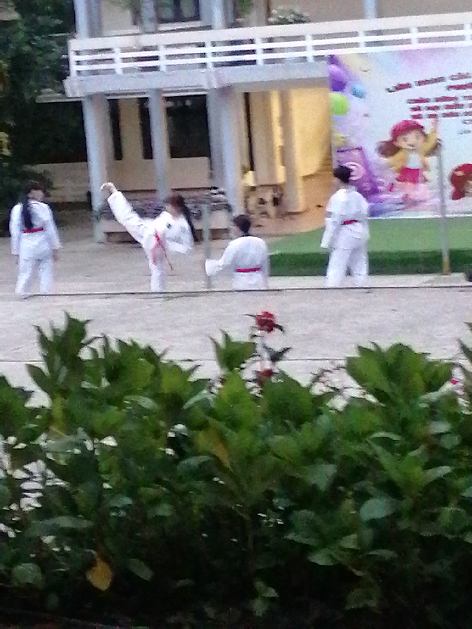 In Lâm Viên - Đà Lạt, Vietnam, a group of individuals dressed in white martial arts uniforms with red belts are practicing a karate-like discipline. The scene is outdoors, with a building featuring white railings visible in the background. A colorful banner with cartoon characters is also present. The focus is on the participants' movements, particularly a woman executing a high kick. Foliage is prominent in the foreground, partially obscuring the lower portion of the image.
