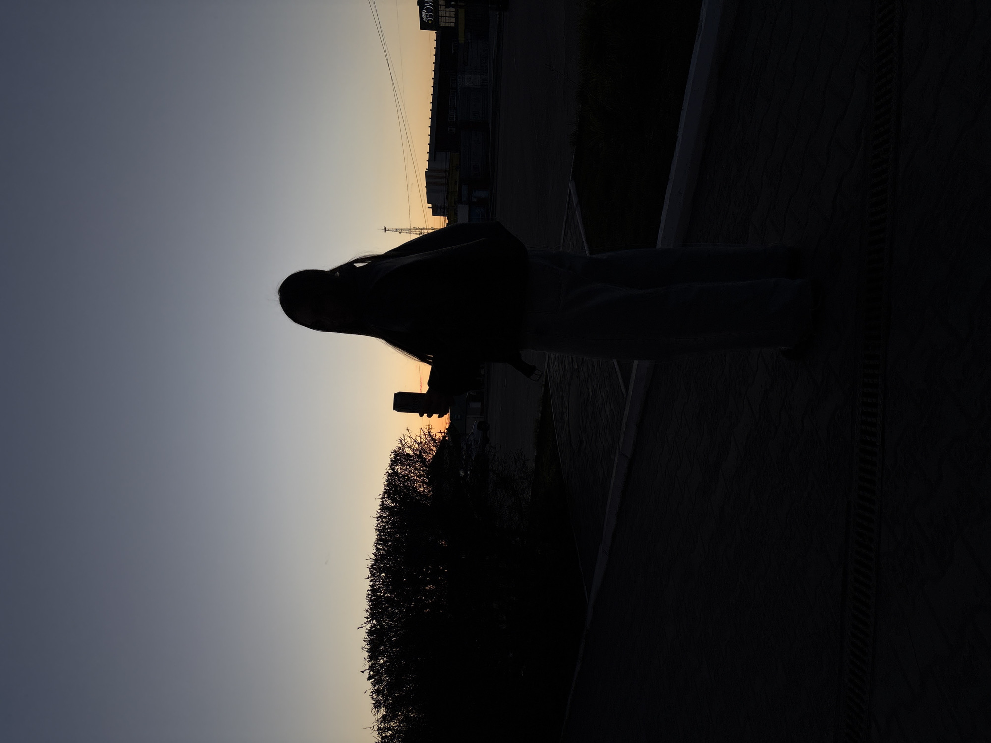 A long-haired person stands on a paved surface, possibly a sidewalk, holding a cell phone in their hand. The person is silhouetted against the sky, which ranges from a lighter orange-yellow near the horizon to a darker blue-gray overhead. In the background, a partially obscured building complex and a utility pole with power lines are visible. Dark bushes are also silhouetted near the figure. The setting appears to be urban, and judging by the skyline and background elements, the photograph was taken in the city of Chaikovsky, Russia. The time is likely dusk or dawn, given the lighting conditions.