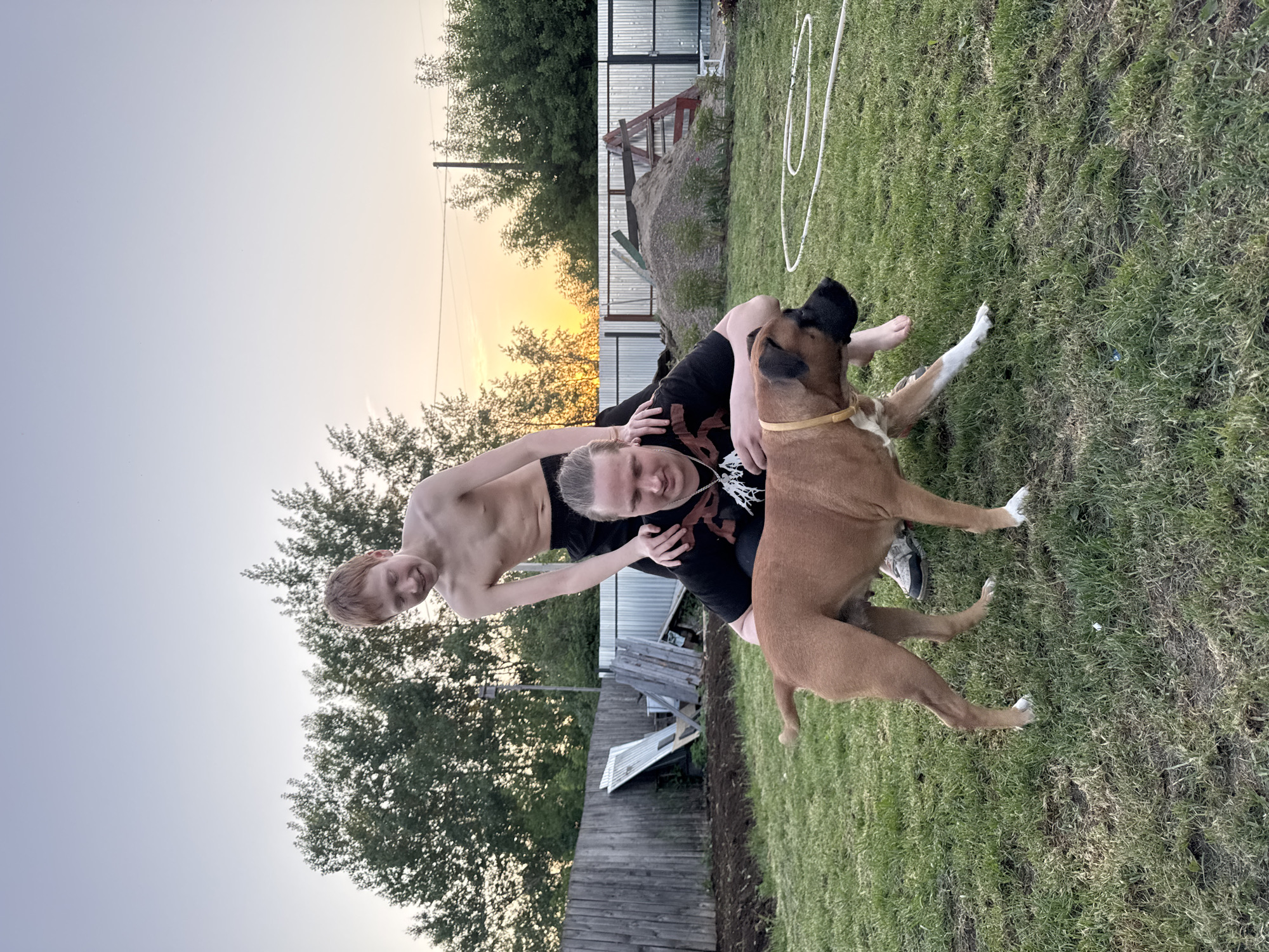 The image shows two people and a dog outdoors in what appears to be a backyard. One person is a fair-skinned young man without a shirt. The other person has short blonde hair and wears a black shirt. They are interacting, possibly playing or wrestling. The dog, a brown Boxer breed with a black muzzle and a yellow collar, is involved in the interaction. The backyard has grass, trees, and a wooden fence. In the background, there is a metal fence and a sky that suggests it could be late afternoon or early evening. While the location in the city of Chaikovsky, Russia is not evident from the image, the presence of typical residential elements and the sky suggest a possible suburban area or a residential part of the city.