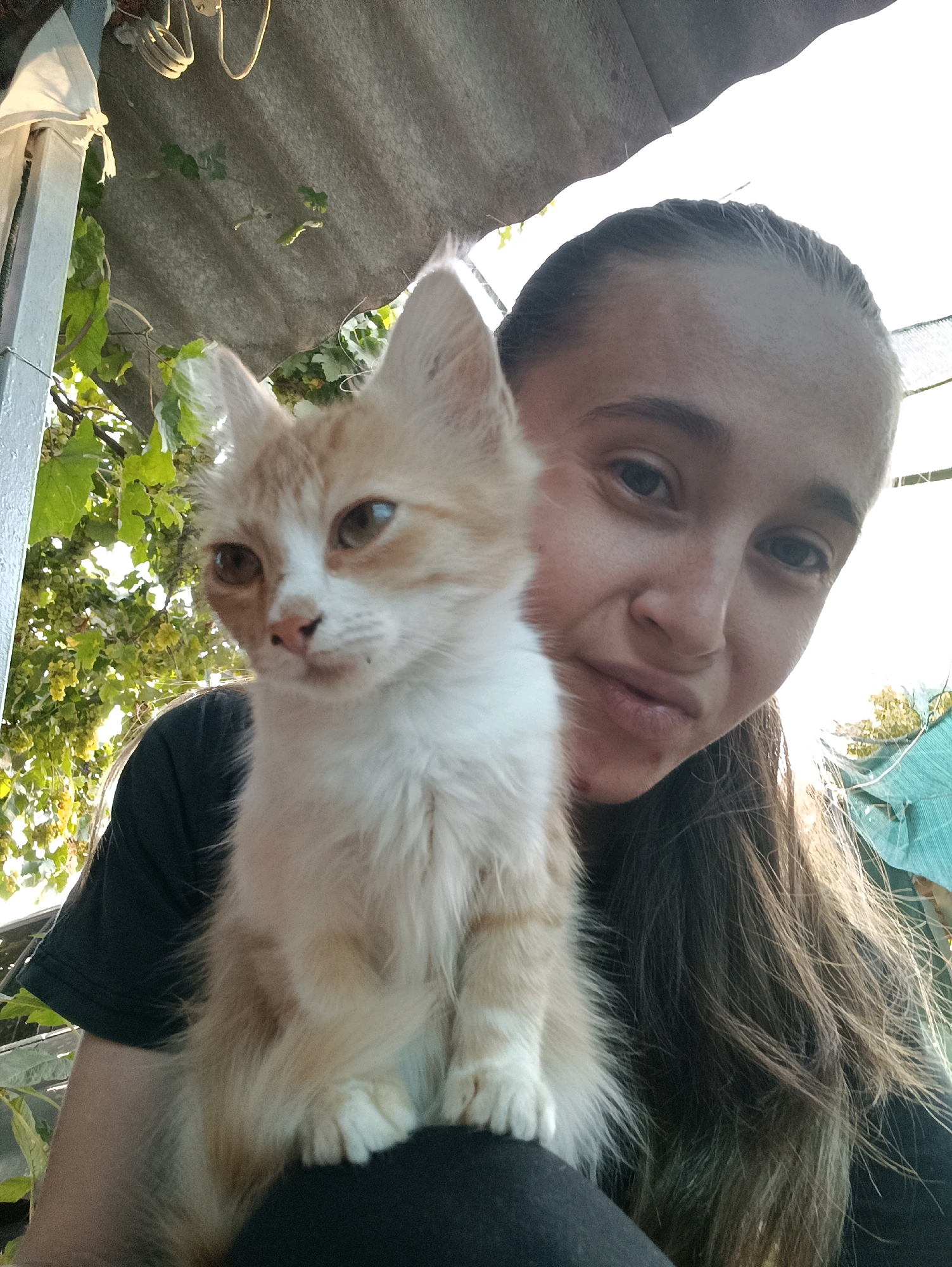 A selfie taken outdoors depicts a young woman holding a ginger and white kitten. The woman is in the foreground, with the kitten positioned on her left shoulder. She has dark brown hair pulled back, and is wearing a black t-shirt. The kitten is looking towards the camera with wide, amber eyes. Behind them, a corrugated metal roof is visible, with green foliage and vines growing around it. The scene appears to be in a rustic or rural setting, possibly a yard or garden. The location is Vypasne, Ukraine.