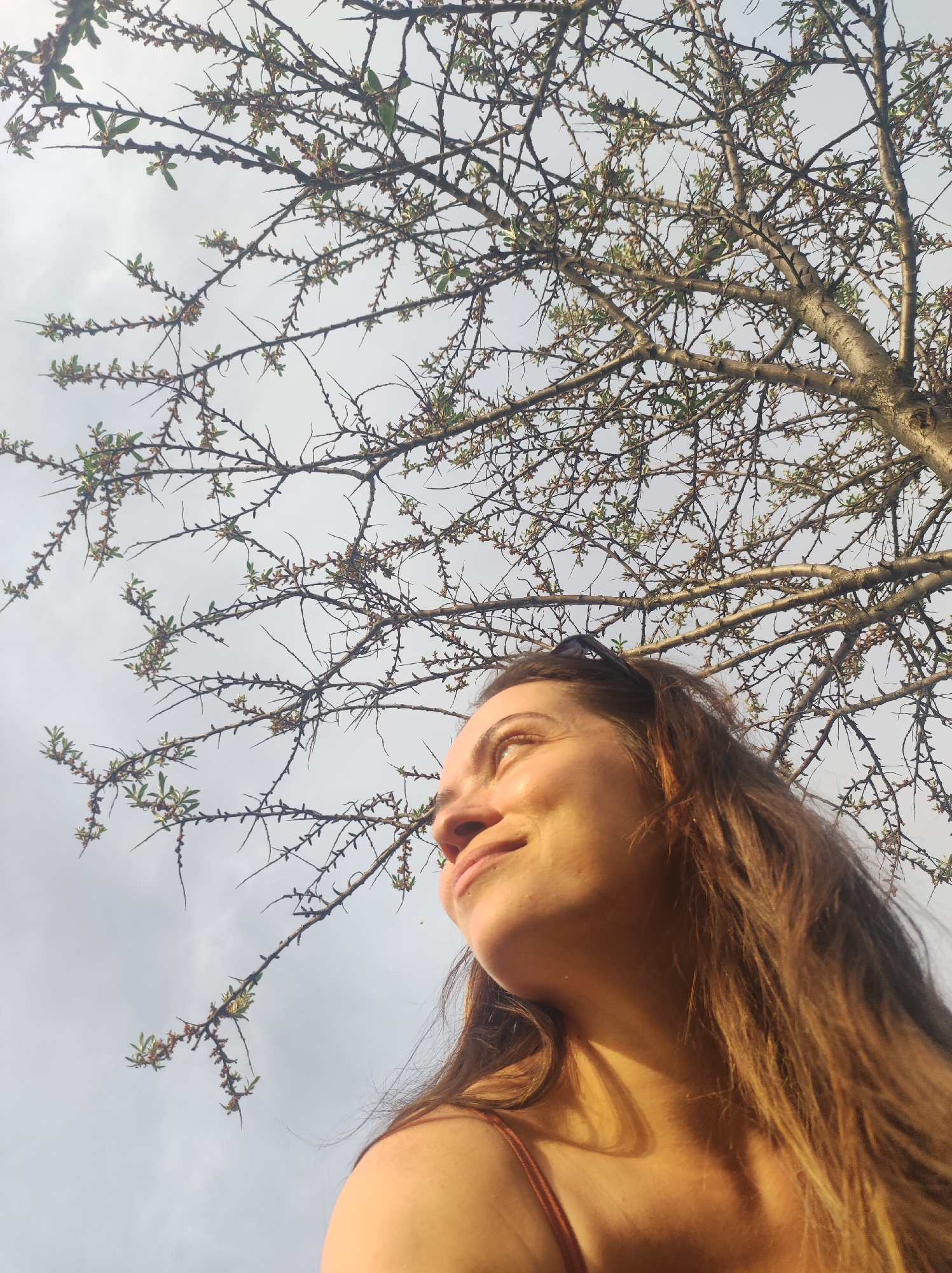 A low-angle shot shows a woman from the chest up, smiling and looking upward to the right. Her long brown hair is partially illuminated by sunlight. Above her is a tree with many thin, thorny branches, sparsely covered with small leaves. The background is a cloudy sky. The location is Unknown, Unknown.