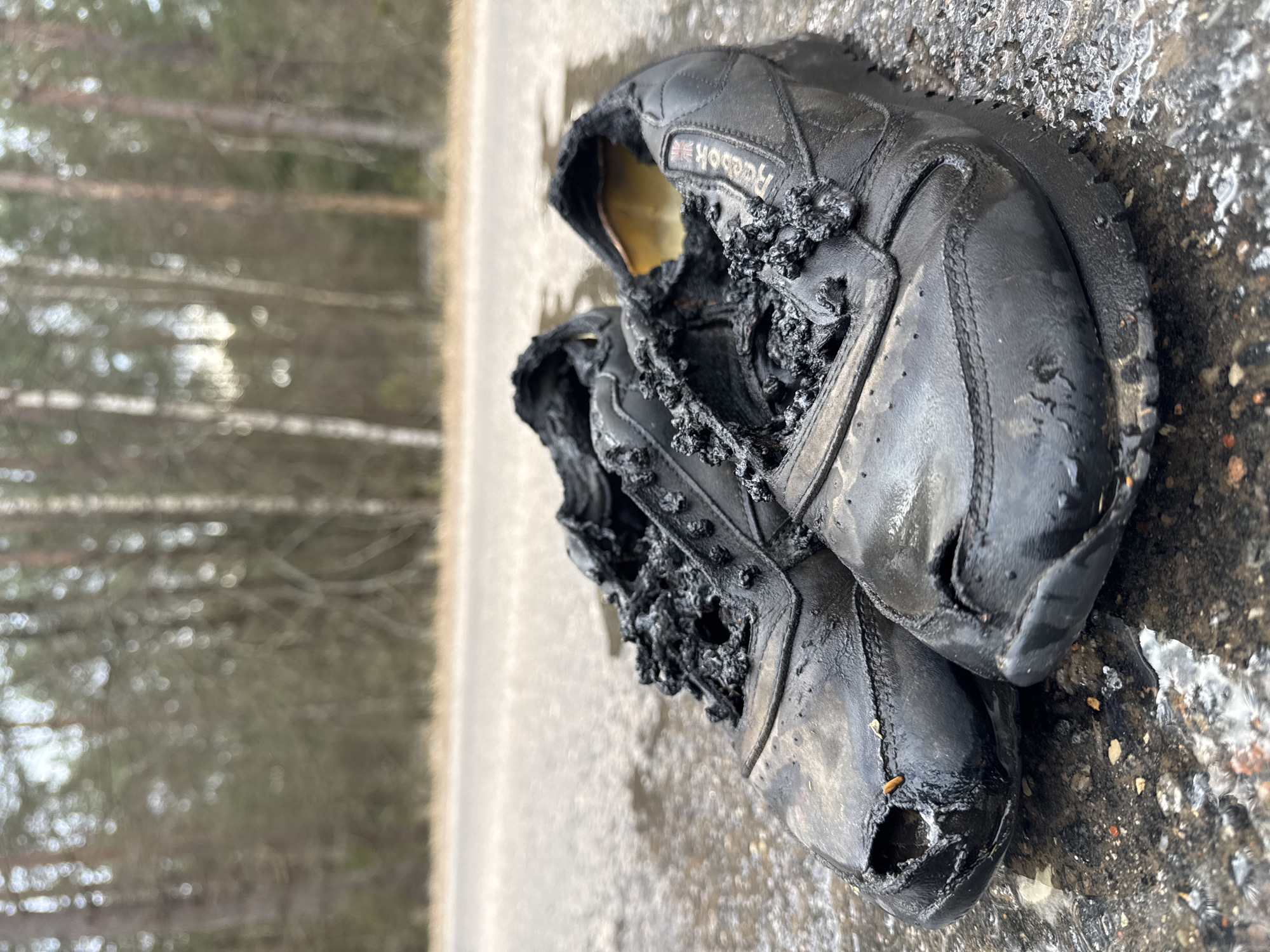 The scene, located in Парэцкі сельскі Савет, Belarus, depicts a pair of black Reebok athletic shoes exhibiting significant thermal damage. The shoes are positioned on a wet, dark asphalt or gravel surface with visible puddles and granular debris. Both footwear items are severely charred and melted, particularly around the instep, tongue, and lacing areas, where the synthetic materials have fused into irregular, solidified black forms. The left shoe displays a distinct perforation in its toe box. A Reebok brand logo and a small flag emblem are visible on the lateral aspect of the right shoe. Immediately behind the shoes, a damp, paved road extends horizontally. The background consists of a blurred, dense forest containing numerous deciduous and coniferous trees, indicative of a natural, undeveloped roadside environment. No individuals or other subjects are present in the image.