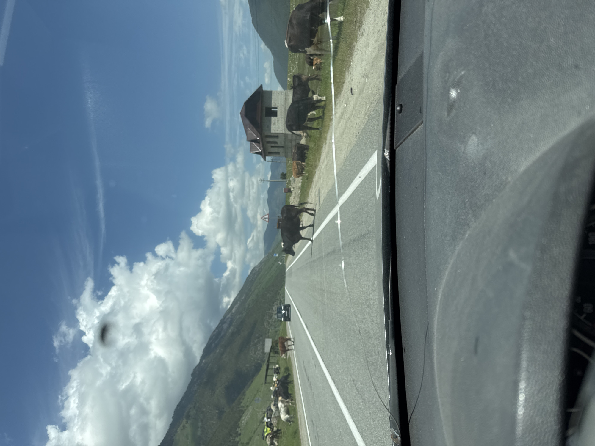 The image depicts a rural road in Верхне-Тебердинское сельское поселение, Russia, with a herd of cows crossing the asphalt. The scene is captured from the perspective of a vehicle's interior, likely the dashboard and windshield, with a portion of the car's interior visible in the foreground.
The road is paved and marked with white lines. Several cows, varying in color from black to brown and white, are scattered across the road, with some actively crossing. In the background, there are green, sloping hills or mountains on the left side of the road, and a more distant, rugged mountainous landscape on the right. A few vehicles, including what appears to be a black SUV or jeep, are on or near the road.
To the right of the road, there is a partially constructed stone building with a dark roof. Further along the road, on the right shoulder, a small herd of cows is grazing. The sky is blue with scattered white clouds. The overall environment suggests a scenic, possibly remote, mountainous region. The presence of the cows on the roadway indicates a potential traffic hazard.