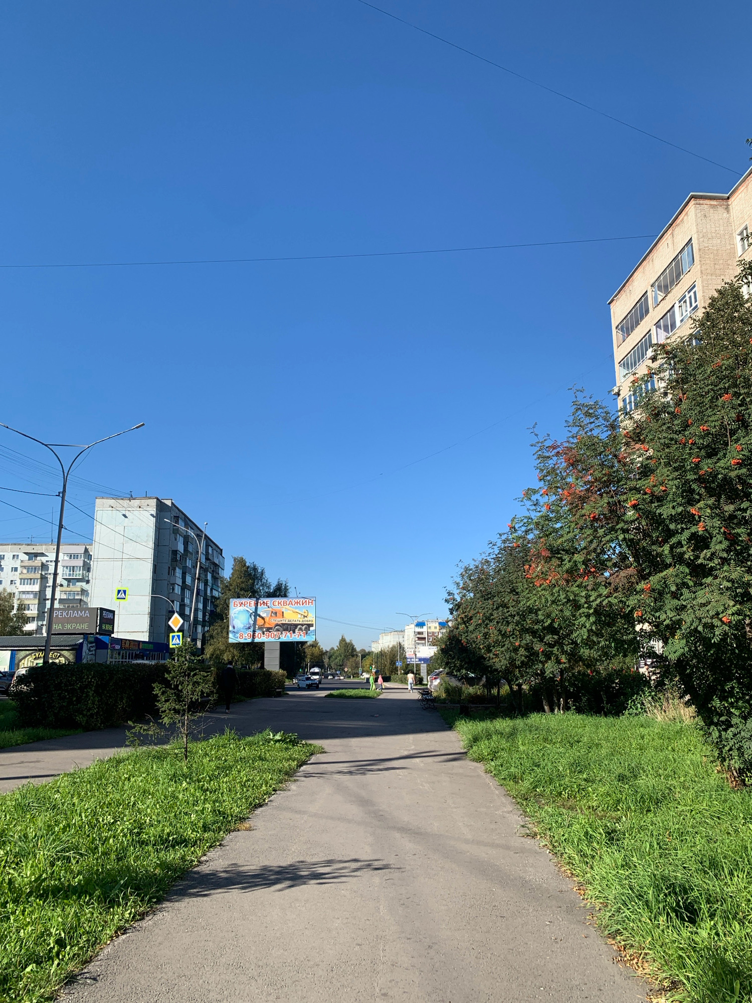 This is a street-level, wide-angle photograph taken in Prokopyevsk, Russia, on a clear, sunny day. The perspective is from a paved walkway looking down a tree-lined street. On the right side of the walkway, a building with cream-colored brickwork and multiple windows is visible. Rows of trees with green leaves and clusters of red berries are also present on the right. On the left side of the walkway, a lower, light blue building with several windows is observed, along with streetlights and traffic signs. Further down the street, additional buildings and a billboard displaying an advertisement for well drilling services can be seen. Several cars are on the road, and a few pedestrians are walking on the sidewalk in the distance. The sky is a vibrant, clear blue, with thin power lines stretching across it. The overall scene depicts a typical urban environment in Prokopyevsk during daylight.