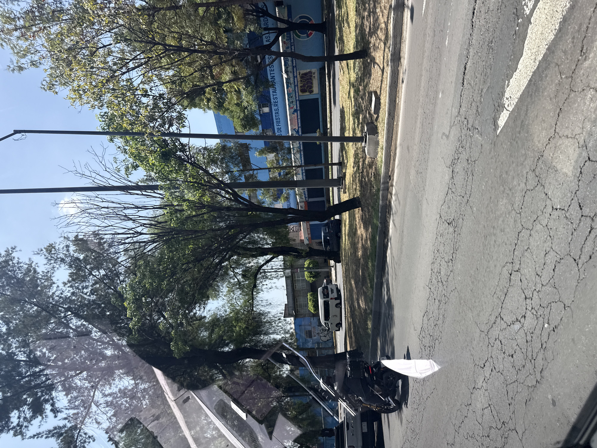 The image is taken from inside a vehicle in Mexico City, Mexico. It shows a street with cracked asphalt. The view is partially obscured by the vehicle's interior. On the side of the street, there are trees and a blue building with the text "S DE FIESTAS, RESTAURANTES ES" visible. There is also text "ASARD" and "BILIAR" on the building. Several vehicles can be seen parked or moving along the street. A white cloth or flag-like object is attached to a vehicle on the left side of the image. Streetlights are also present.