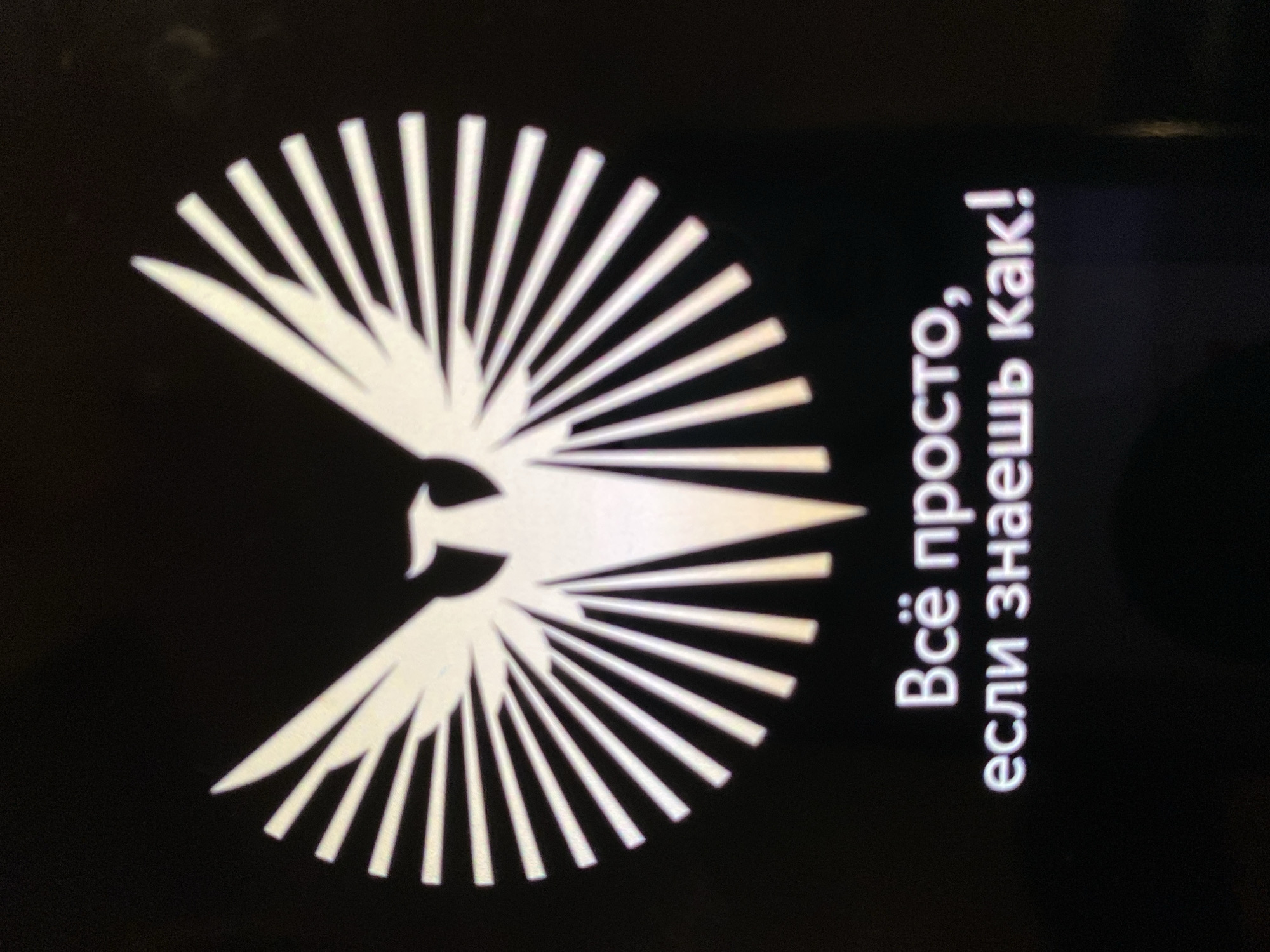 The image shows a white stylized bird logo with its wings spread wide against a black background. Below the logo, there is text in Russian that reads "Всё просто, если знаешь как!". The scene appears to be a digital display, possibly a screen or projection, with a slight glare visible on the right side. There is no identifiable location in the city of Moscow, Russia, or any people, actions, or interactions.