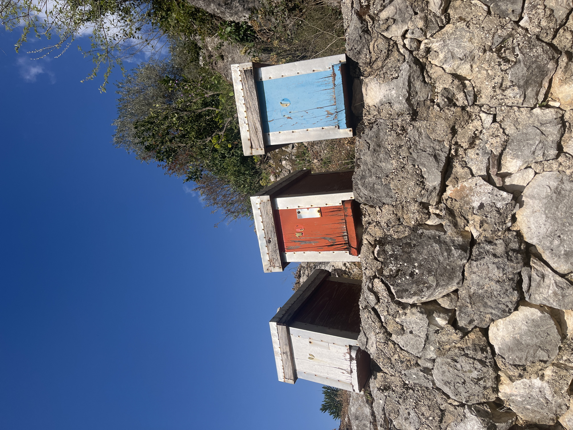 Three colorful wooden beehives are stacked vertically against a dry-stone wall in Godinje, Montenegro. The topmost hive is painted blue, the middle one is red, and the bottom one is white. The sky is a clear, bright blue. A few trees and shrubs are visible in the background. The wall is constructed from irregularly shaped gray stones.