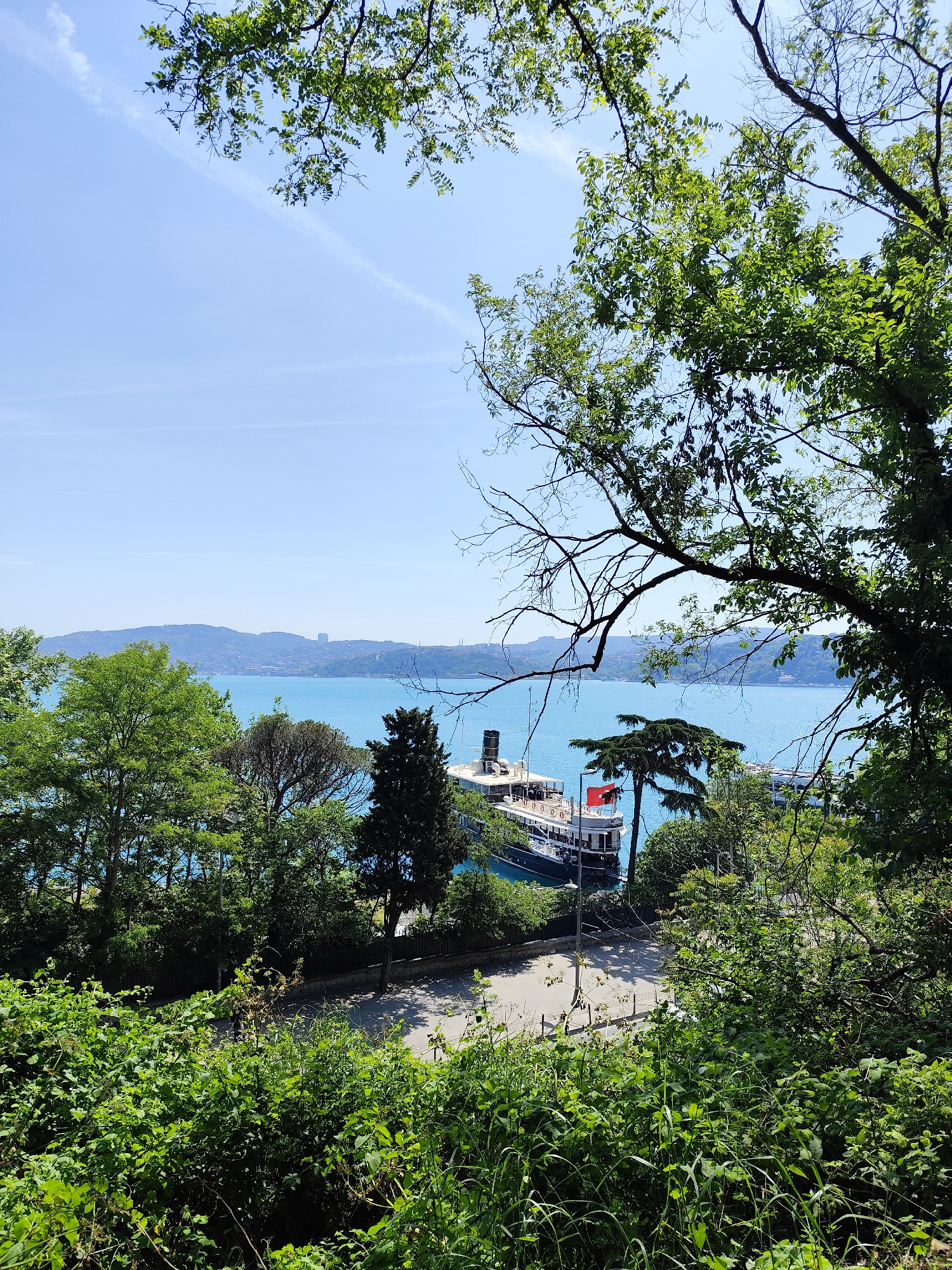 The image captures a vibrant, elevated view overlooking a serene waterfront, likely the Bosphorus in Sarıyer, Turkey, under a clear, bright sky. The scene is dominated by natural elements, with dense green foliage and tree branches heavily framing the top and sides of the composition, creating a lush foreground.
In the midground, a wide stretch of turquoise-blue water extends across the frame. Along the nearer shore of the water, a paved road is visible, next to which a large, dark-hulled passenger boat or ferry is docked on the left. This boat features multiple decks with white railings and a prominent black smokestack. A distinct red Turkish flag, bearing a white star and crescent, flies proudly from the vessel. A street light pole stands near the dock.
Beyond the water, the background reveals distant, undulating hills, lightly populated with buildings, against a vast, clear, light blue sky with only faint, wispy cloud streaks.
The time of day appears to be midday or early afternoon, indicated by the strong, even illumination and the bright sky. The weather is sunny and clear, contributing to the tranquil atmosphere. No people are visible, and the boat appears to be stationary at the dock. There is no discernible text visible within the image.