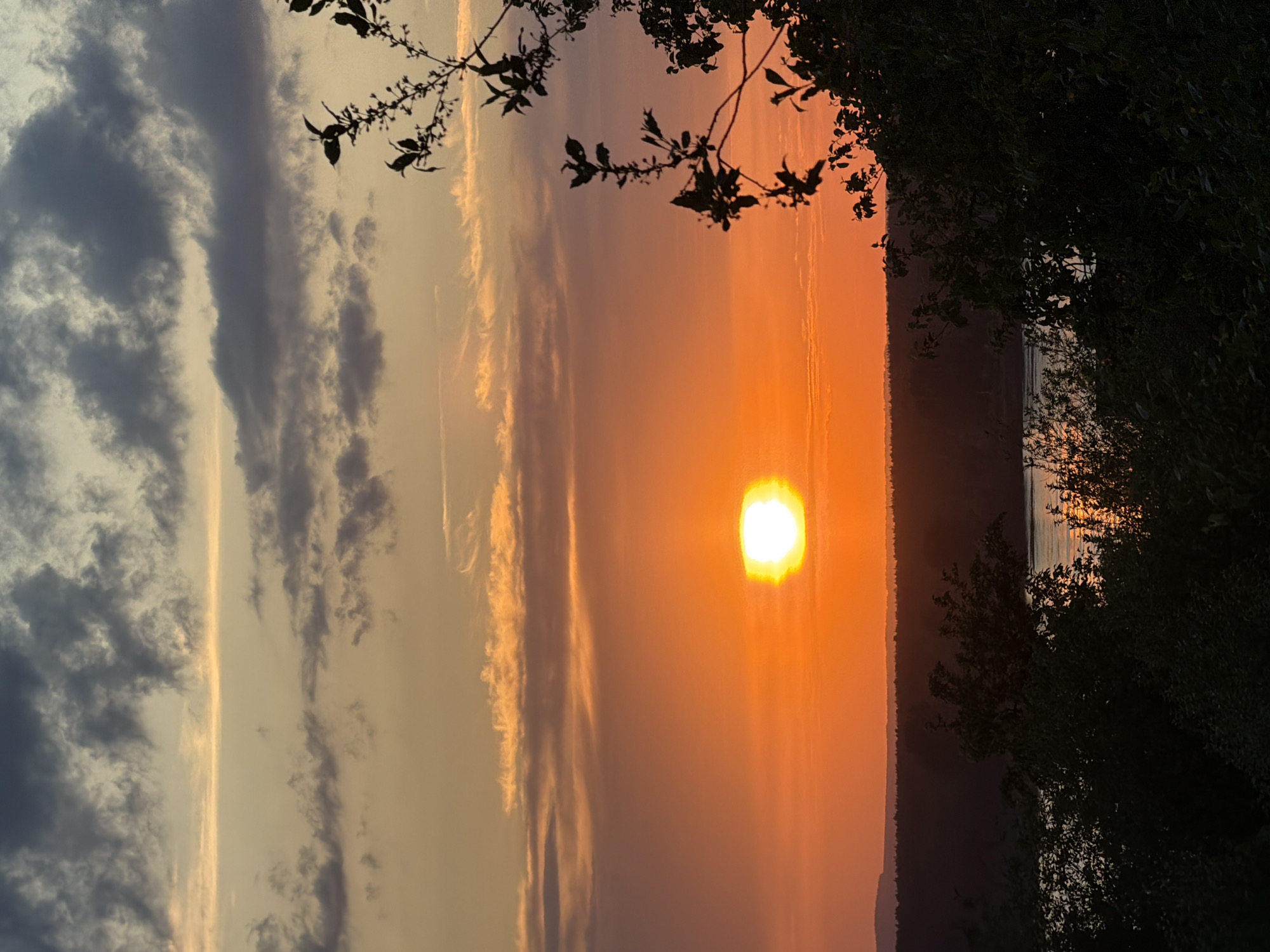 The image depicts a sunset over the Kama River in Chaikovsky, Russia. The sun is low on the horizon, casting an orange glow across the sky and water. Dark clouds are present on the left side of the image, contrasted by lighter orange-tinged clouds near the center. Silhouetted trees and foliage frame the right side of the image, partially obscuring the riverbank. A thin strip of land is visible between the river and the sky in the center. Branches with leaves are silhouetted in the upper part of the image.