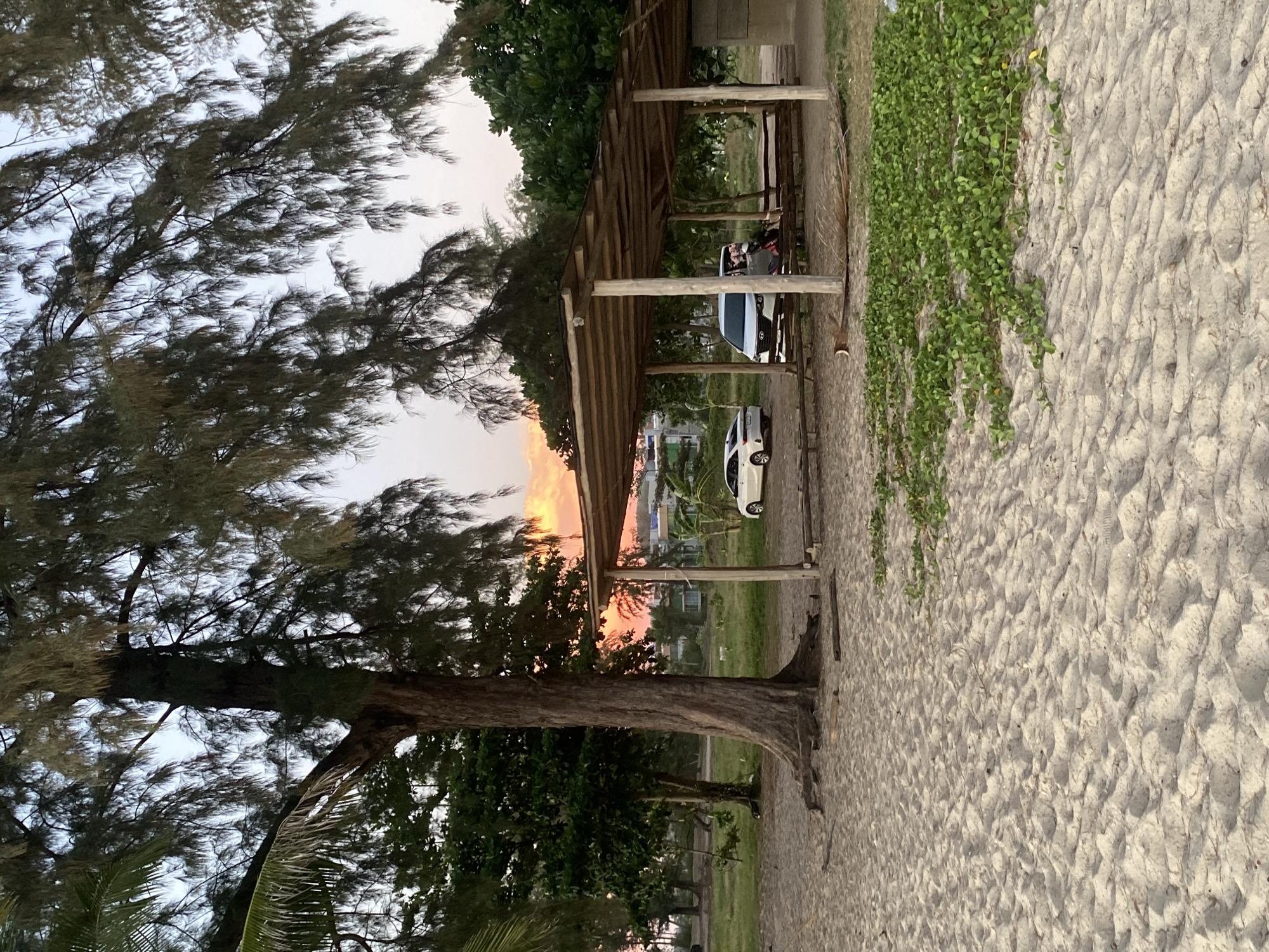 This image depicts a beach scene in Choeng Thale, Thailand. The foreground is dominated by a sandy beach, marked with ridges and dotted with patches of green vegetation along the side. To the left, a large tree with dense, leafy branches spreads out, partially obscuring the sky. In the middle ground, a simple wooden shelter provides shade. Behind the shelter, parked cars and glimpses of buildings are visible. The sky appears to be at sunset with orange and pink hues filtering through the trees and shelter structure.