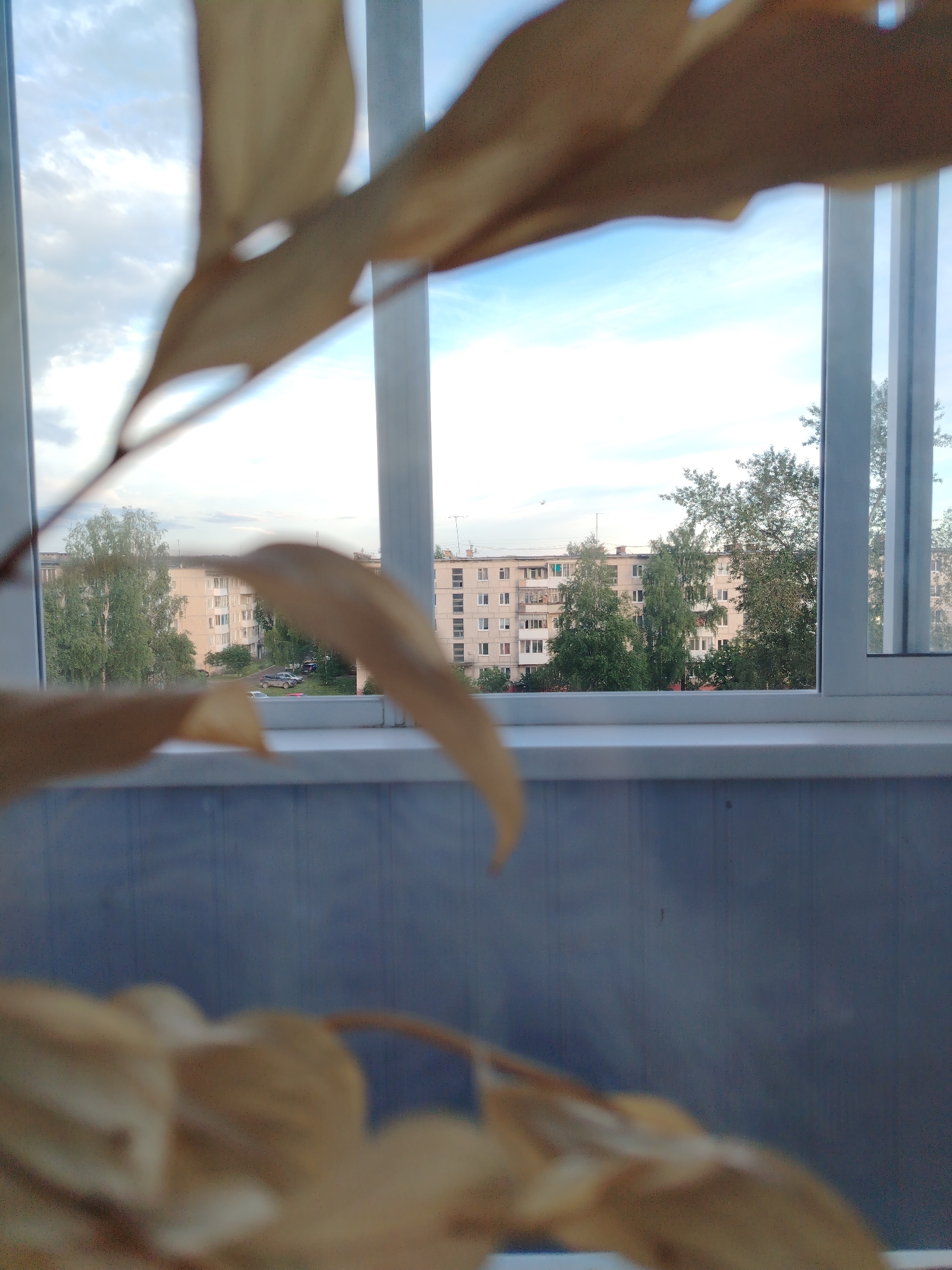 The image shows a view from an apartment window, likely in Severouralsk, Russia, overlooking residential buildings and trees. In the foreground, out-of-focus, are dried leaves, suggesting an autumn setting. The window frame is visible, dividing the scene into sections. The buildings in the background are typical Soviet-era apartment blocks, characterized by their uniform facades and multiple stories. Green trees are interspersed between the buildings and in the foreground of the scene. The sky is partly cloudy with a mix of blue and white. The overall impression is a mundane urban landscape, softened by the natural elements of the leaves and trees.