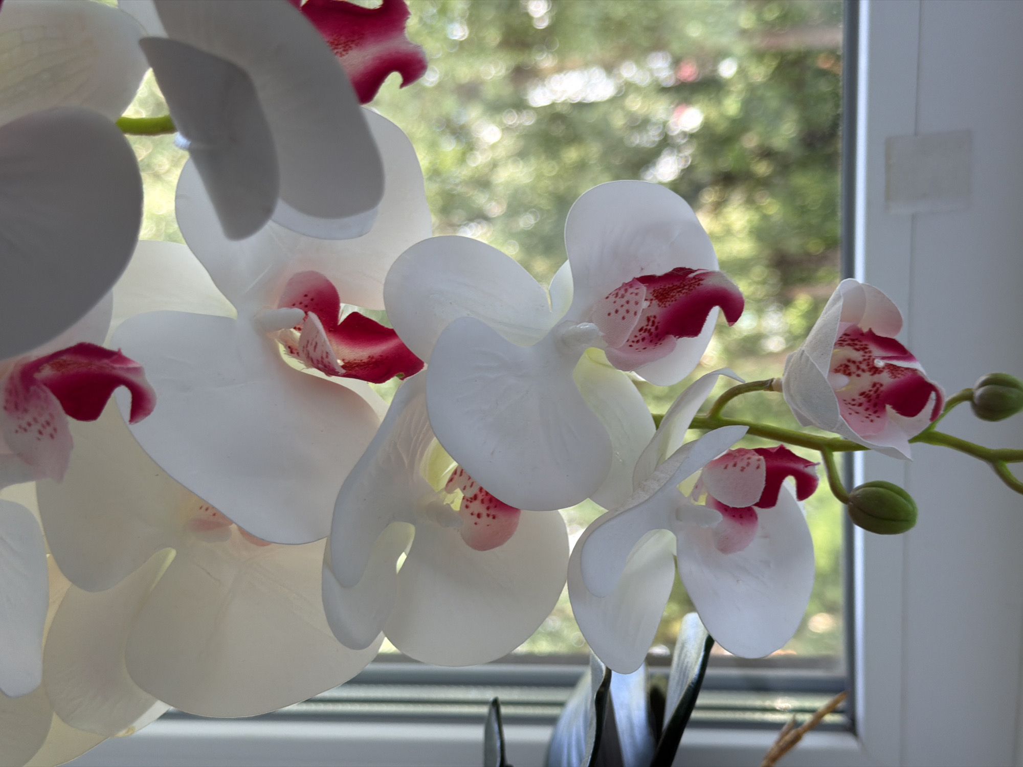 This is a close-up, vertical, eye-level shot of a cluster of artificial white orchids with fuchsia centers, cascading from the top of the frame. The orchids are in various stages of bloom, with some fully open and others as buds. The background is a soft blur of green foliage and bokeh lights, suggesting an outdoor setting seen through a window. The window sill is white and appears to be a part of an interior space. The image is well-lit, likely by natural light. The location is not specified in the image data, but the scene depicts an indoor plant placed near a window, overlooking an outdoor environment.