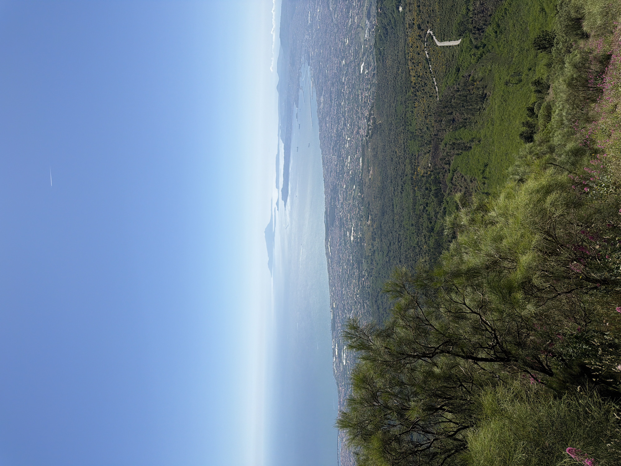 The image shows a panoramic view from a high vantage point overlooking the city of Ercolano, Italy, and the Bay of Naples. In the foreground, lush green trees and scattered pink wildflowers dominate the landscape. The middle ground reveals a dense, verdant forest that transitions into the sprawling urban area of Ercolano, characterized by its densely packed buildings with red-tiled roofs. Beyond the city lies the tranquil expanse of the Bay of Naples, dotted with several cargo ships. In the distance, islands and mountains are faintly visible against the horizon, partially obscured by a light haze. The sky above is a clear, bright blue, with a thin white contrail from an airplane streaking across it. The overall scene depicts a sunny day with excellent visibility.