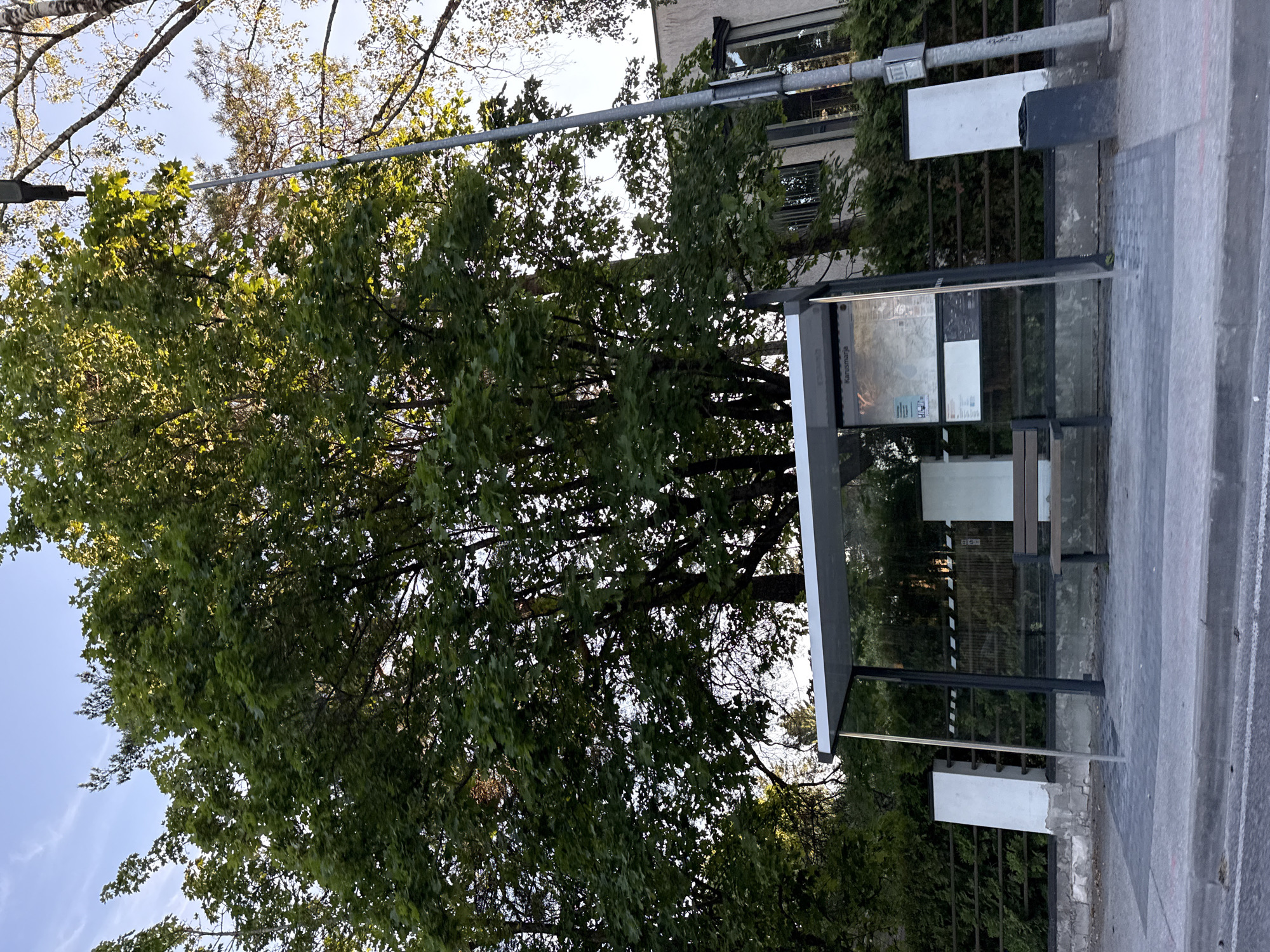 An outdoor scene depicts a bus stop in Tallinn, Estonia. The bus stop has a clear roof, metal supports, and glass walls. A bench is visible inside. A tall street light stands to the right of the bus stop. Large trees with green leaves dominate the background, with a building visible behind them. The ground in front of the bus stop is paved with gray squares, and a curb separates it from the street. The sky is blue with some wispy clouds.