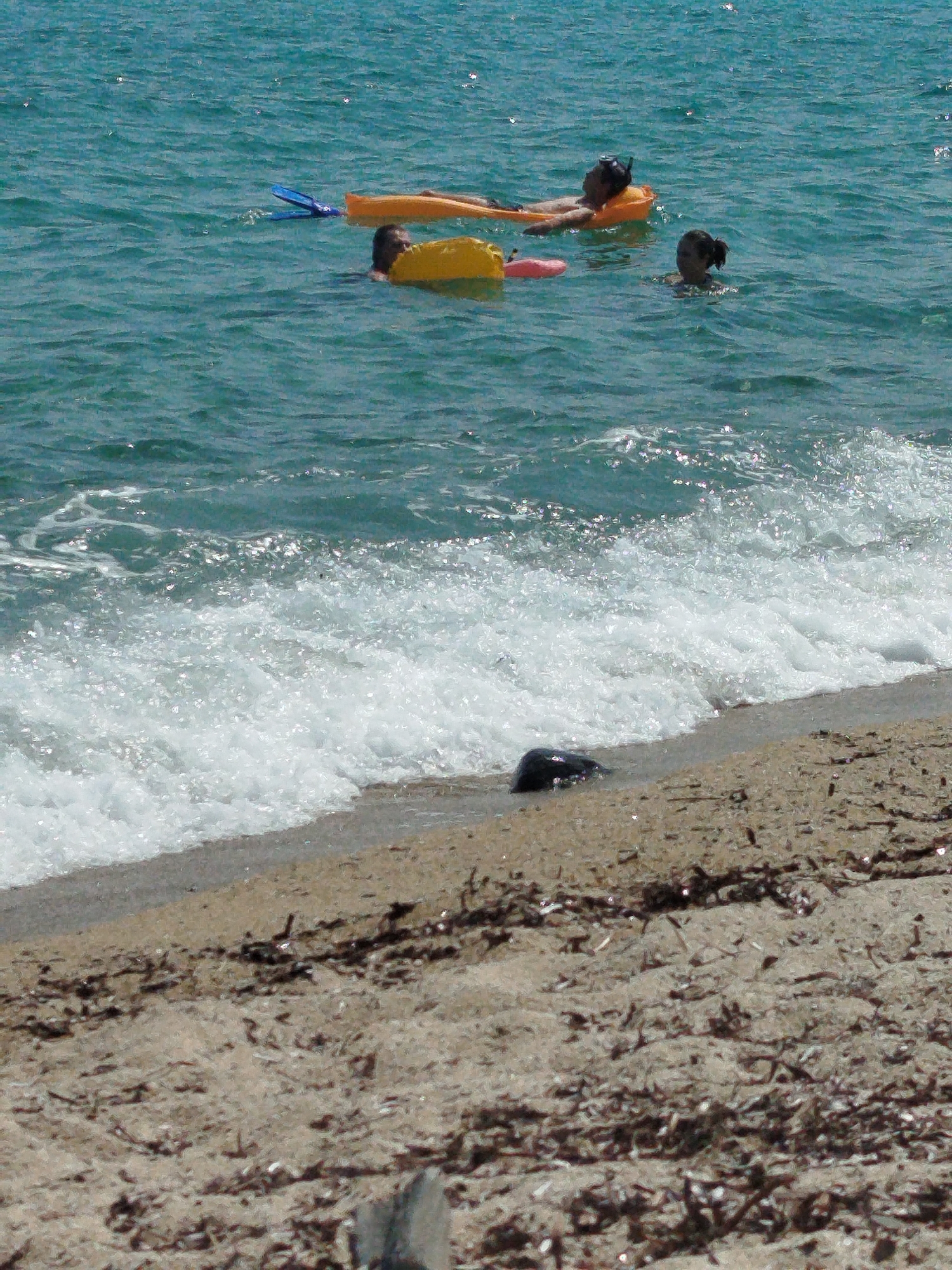 A group of people are swimming and relaxing in the ocean near a sandy beach. The water is a clear blue-green, and waves are gently lapping at the shore.
In the water, two individuals are on an orange inflatable raft. One person is lying down with a snorkel mask on their face, and another person appears to be seated or floating nearby. Further to the left, a yellow inflatable tube is visible, with a person's head and shoulders emerging from the water. To the right, another person is swimming with their head visible above the water, and their hair is pulled back into a ponytail.
The beach is composed of sand and scattered debris, likely seaweed and small pieces of wood. A dark, wet rock is partially submerged in the shallow water at the edge of the beach. The overall scene depicts a leisurely day at the seaside, likely in a Mediterranean location given the presence of a beach and clear waters. This location is identified as being within the Sithonia Municipal Unit, Greece.